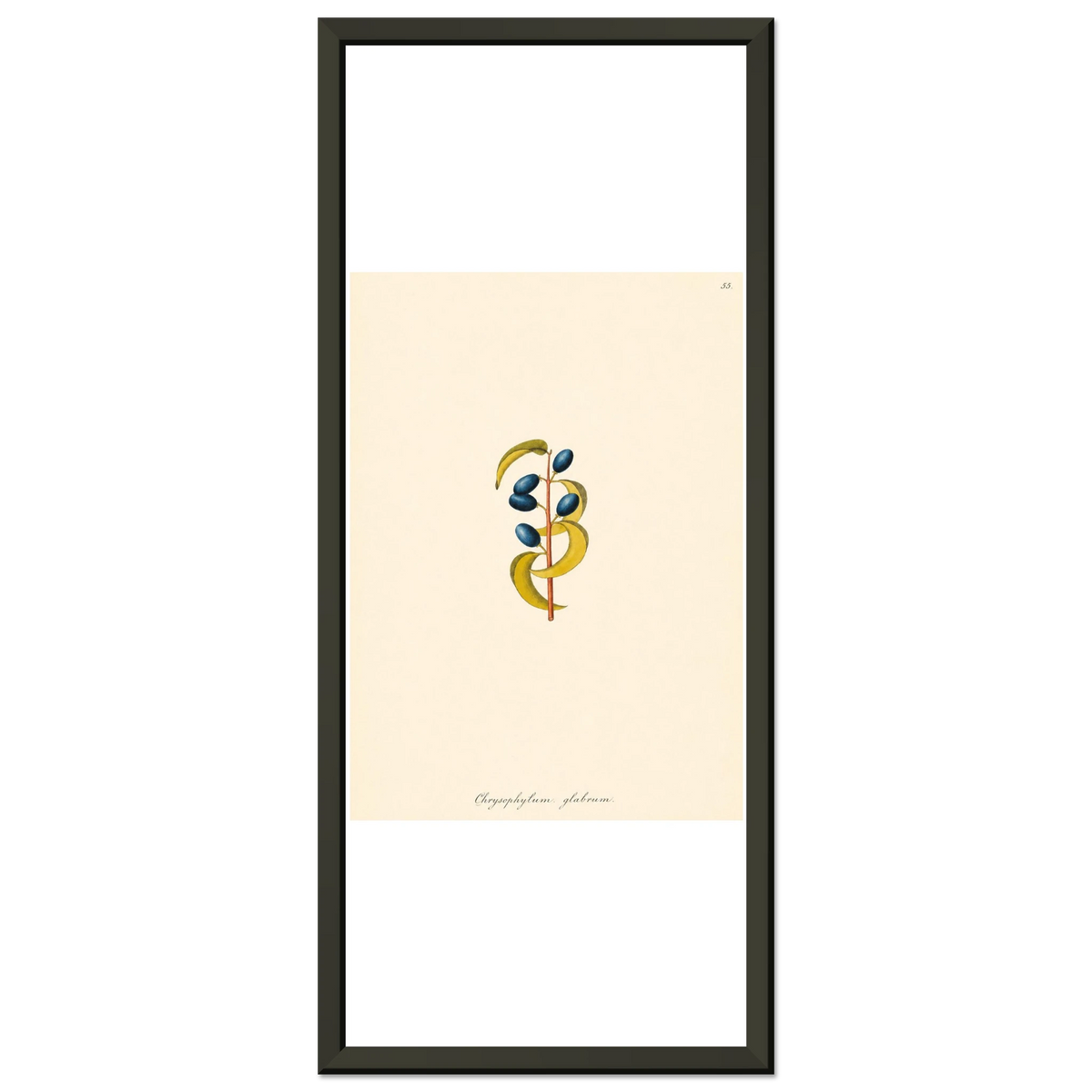 3c51dbee-1749-4da1-b223-0b4b6d81845a
