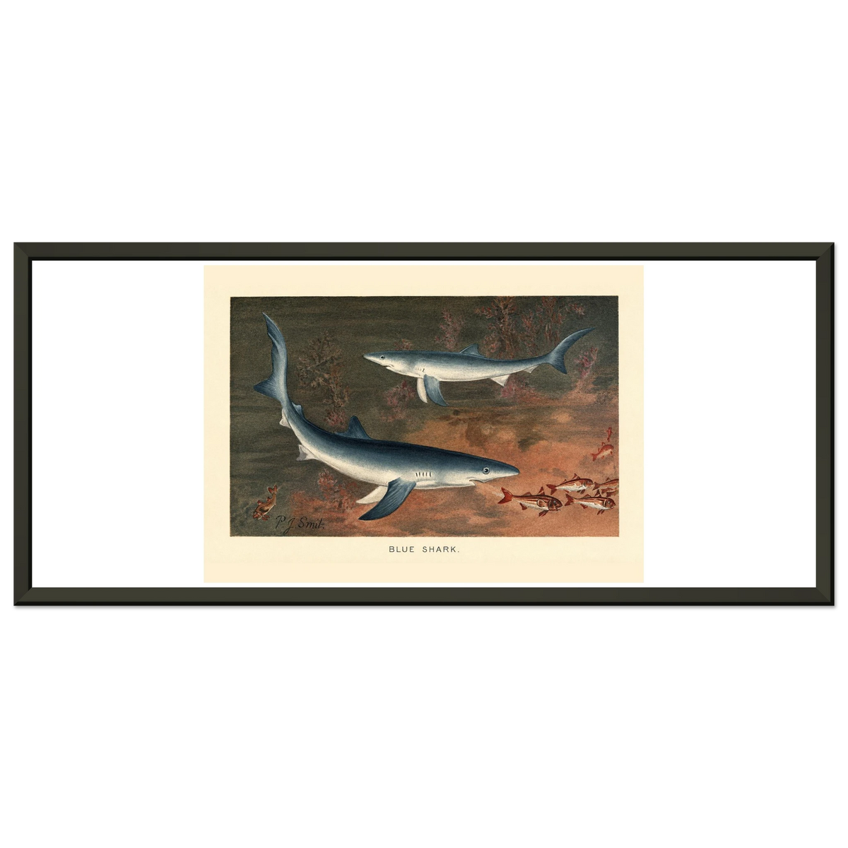 3cb7111a-c550-4cad-8a88-228f4ac6b137