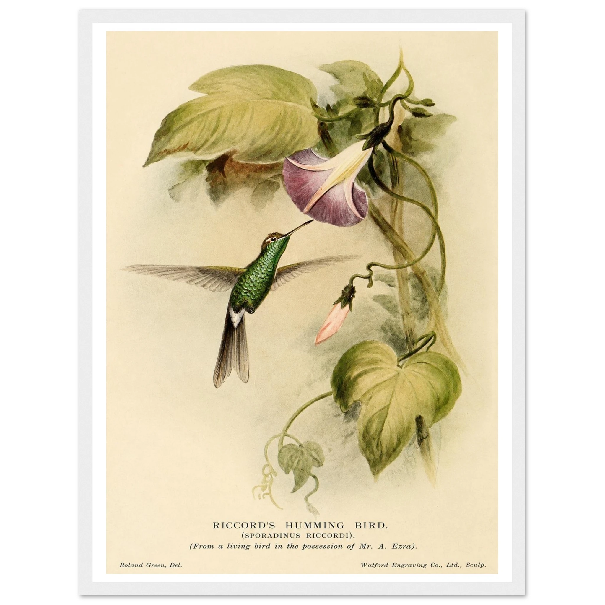 3cd95dec-b25e-4022-916e-ff194f67eb70