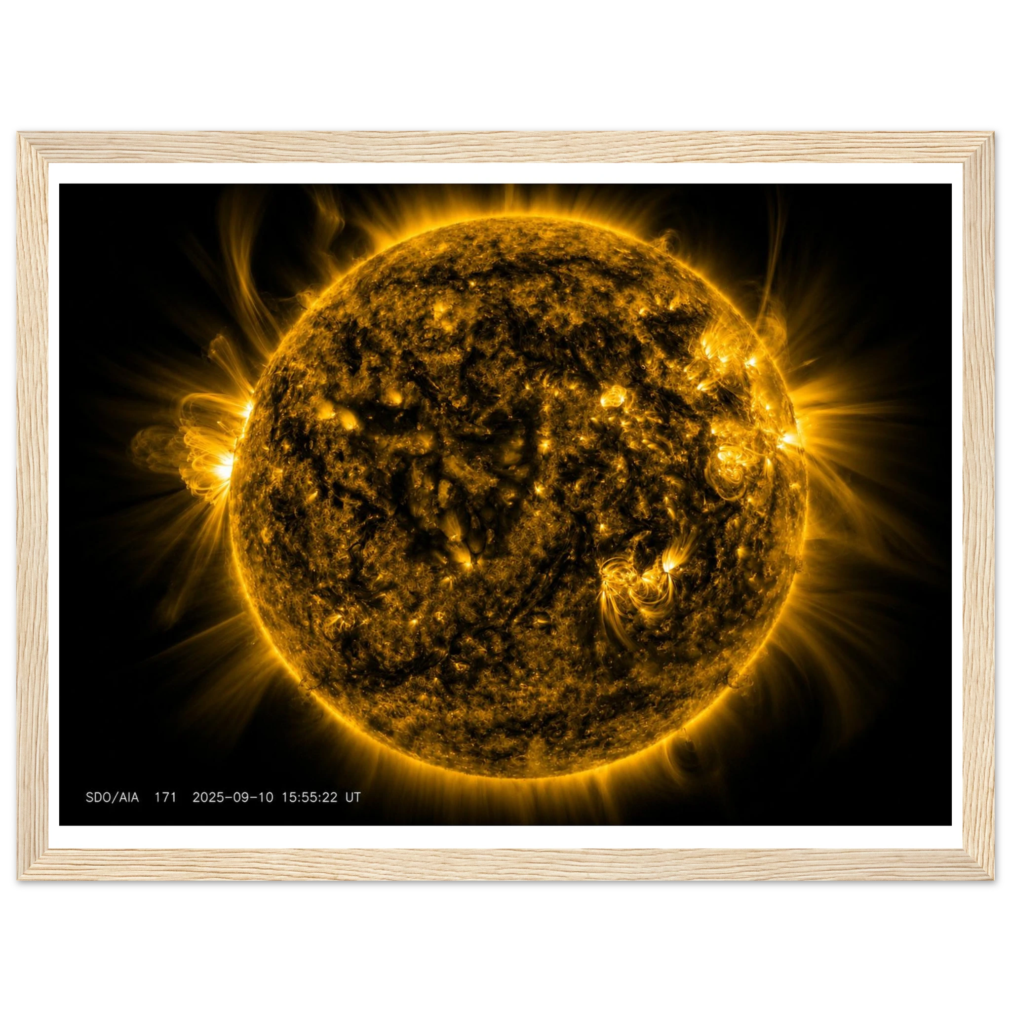 3cea7b31-523e-4939-b78a-f7c65747dd17