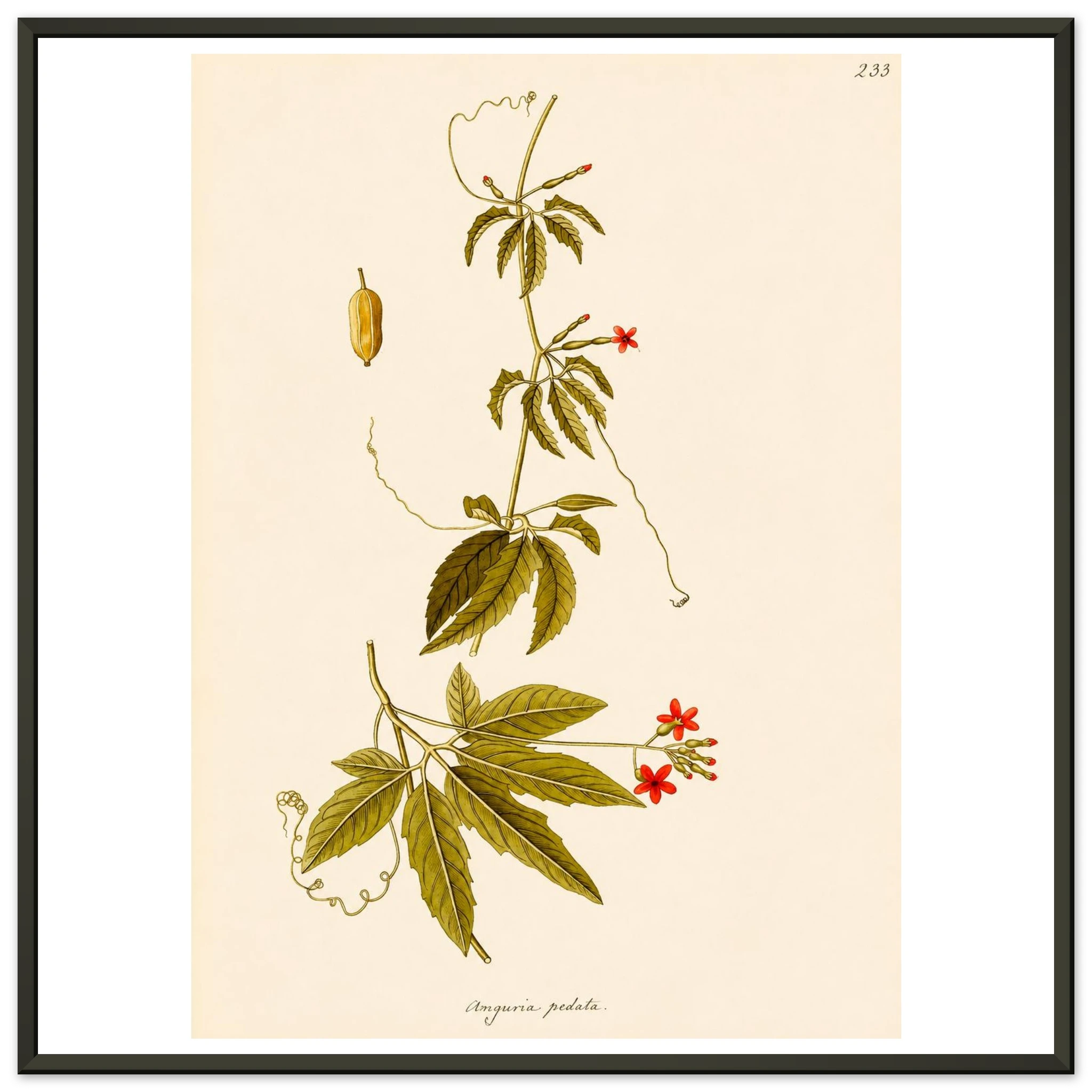 3d42718c-fd7b-44c5-9680-5f1003f04569