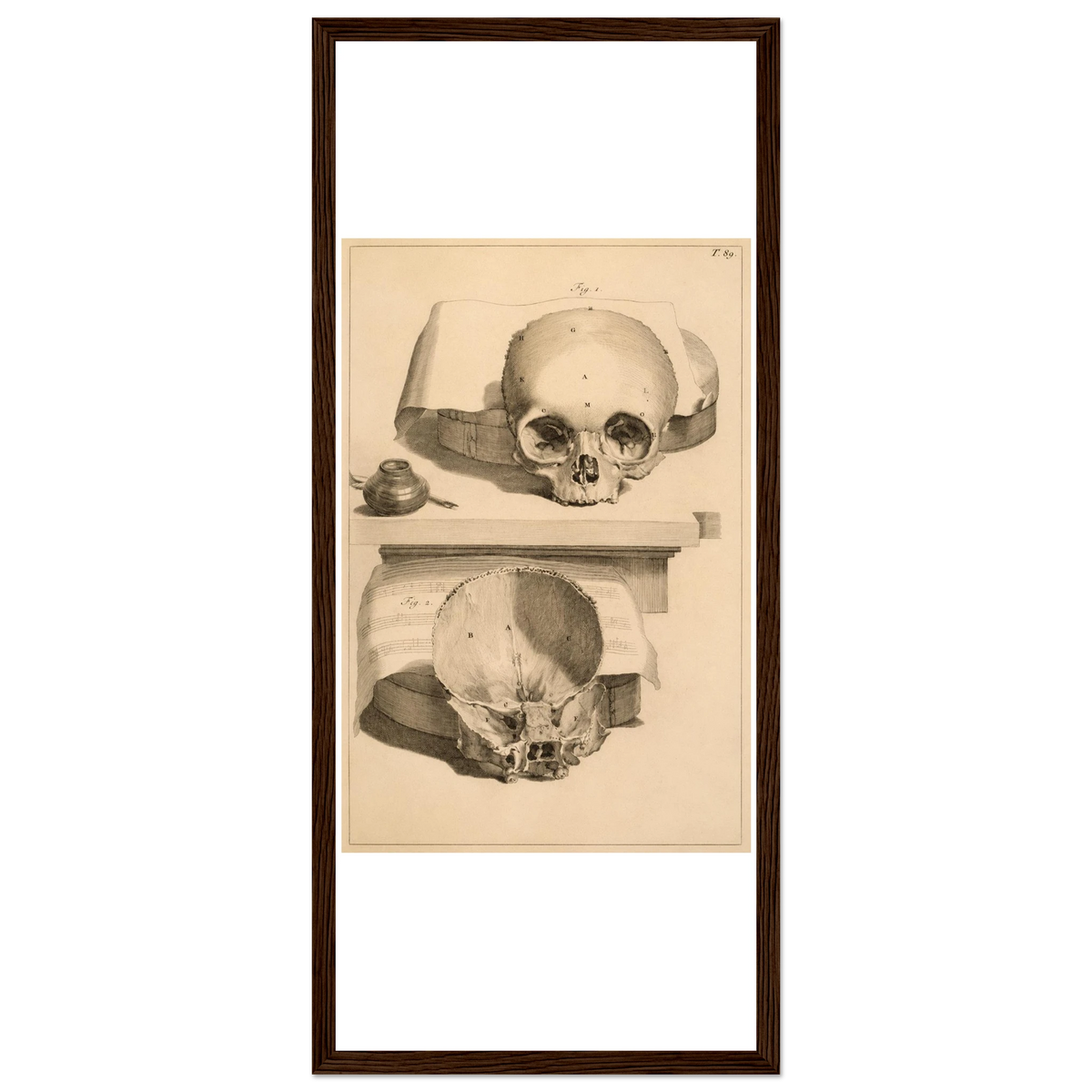 3d8ee56c-5829-462c-975d-5191768ad82a