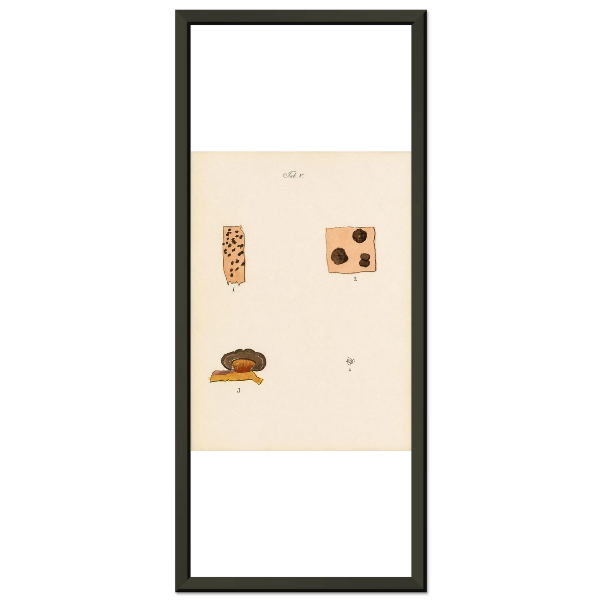 3df1fe02-d0ef-4c35-80ef-e3444f48e41c