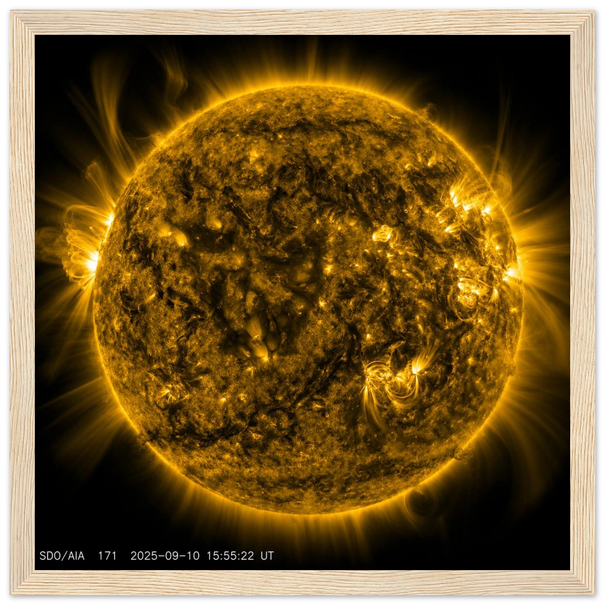 3dfe89f2-e019-456b-980d-1ac77f597b3d