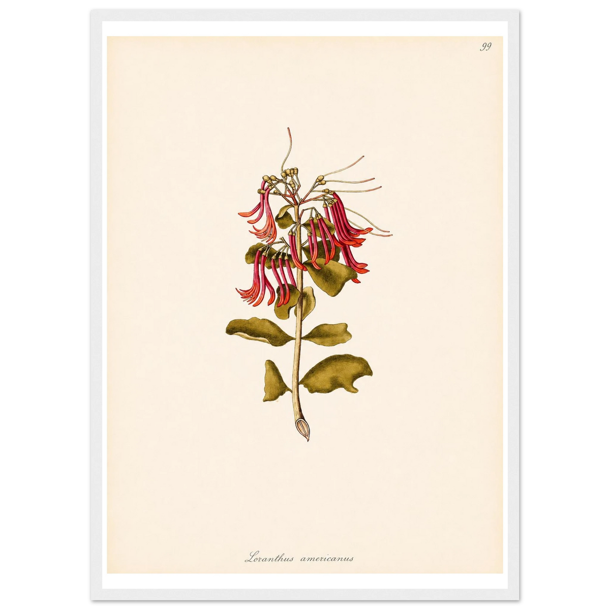 3eb47b7f-cec7-410e-abc6-61534ff20a1d