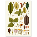 3eead78d-f6b1-4b32-87a5-7bc7e1f635f4