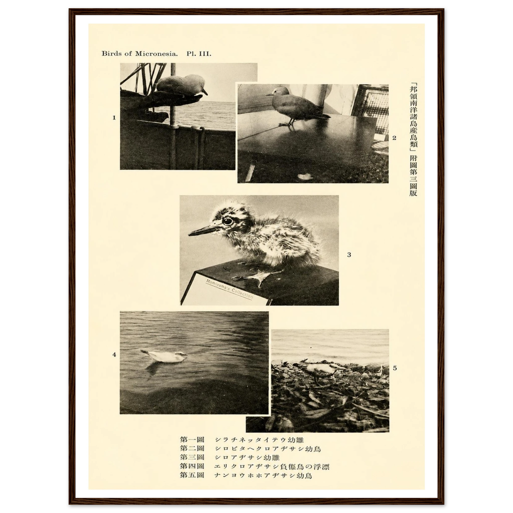 3f049e9c-9a9d-4632-be1c-8b644bbe7d3d