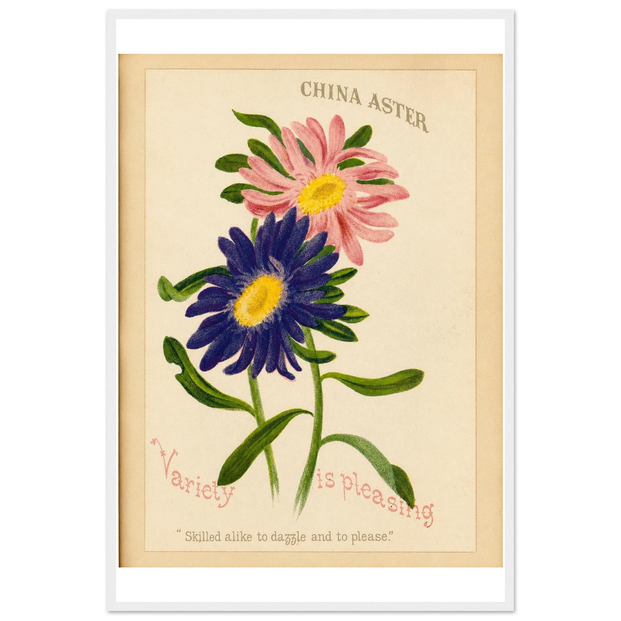 3f198744-1cd9-4669-a7fc-964251d67a74