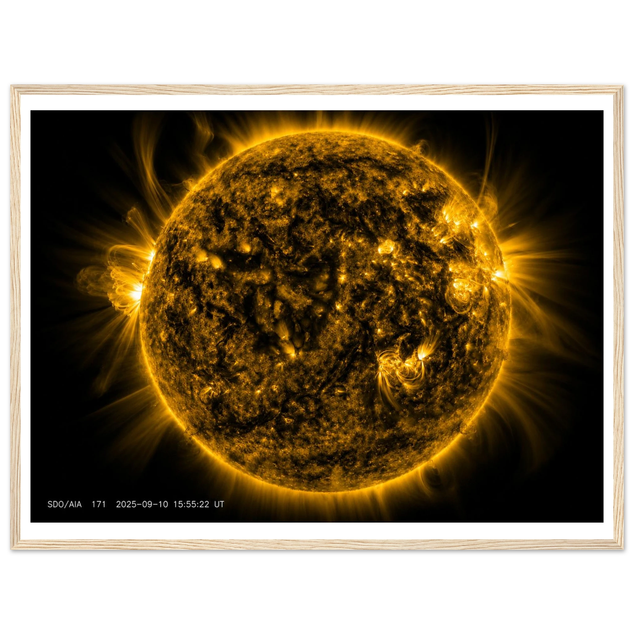 3f8bfd02-94df-4967-a6e8-e9811cdc10e9