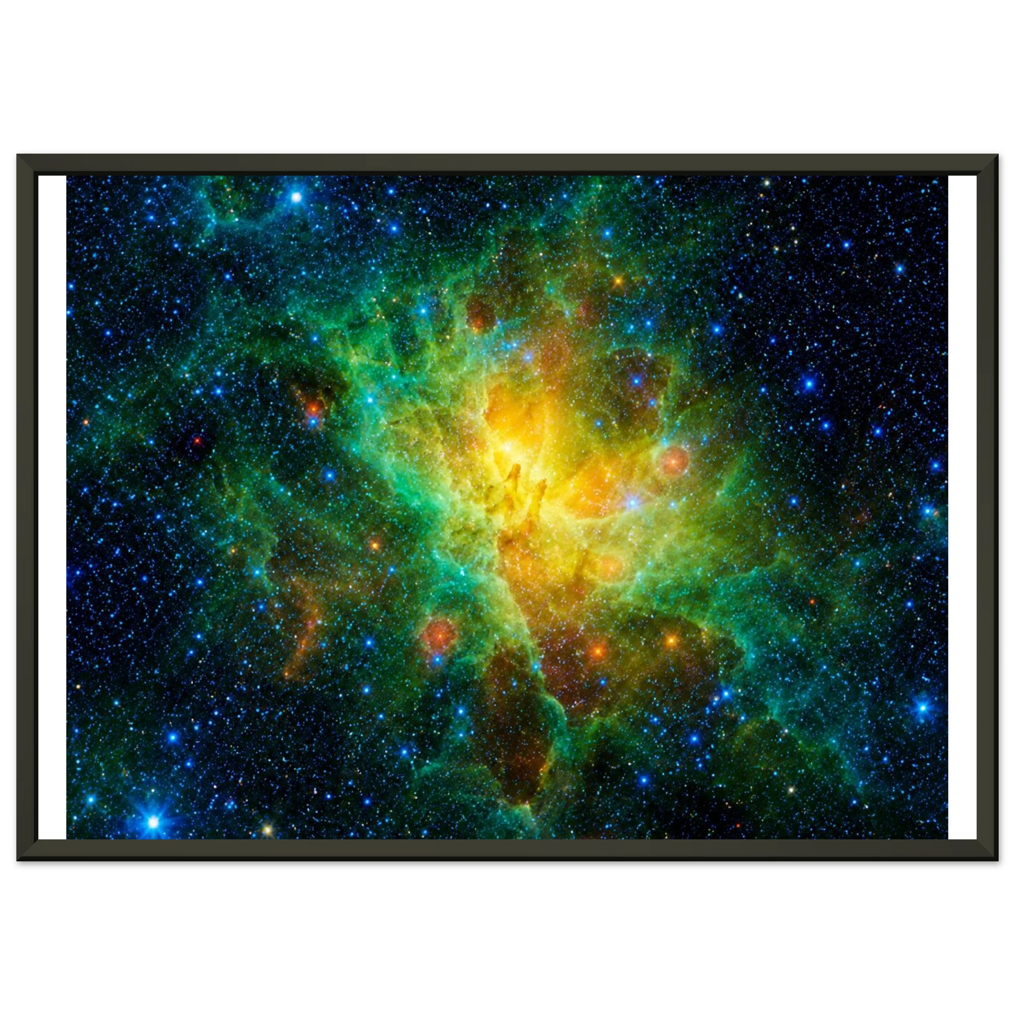 3fbd35f1-1618-441a-bce6-5c96033bd80e