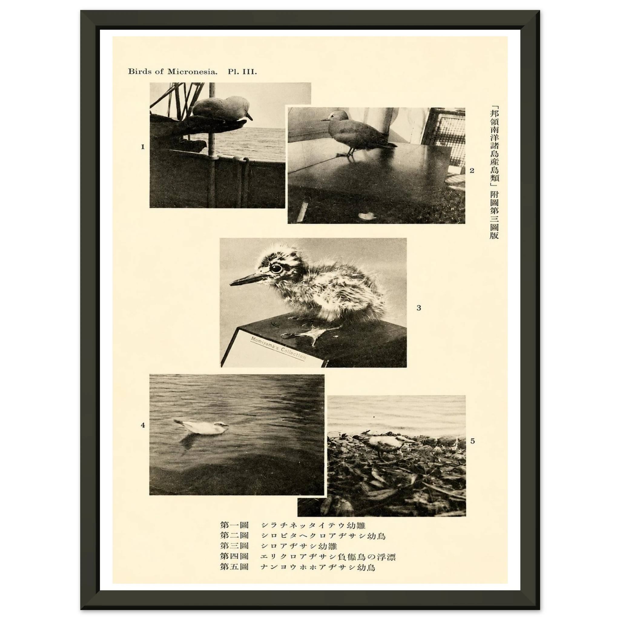 4066ba99-8c83-439c-ac1b-42eaa0802d72