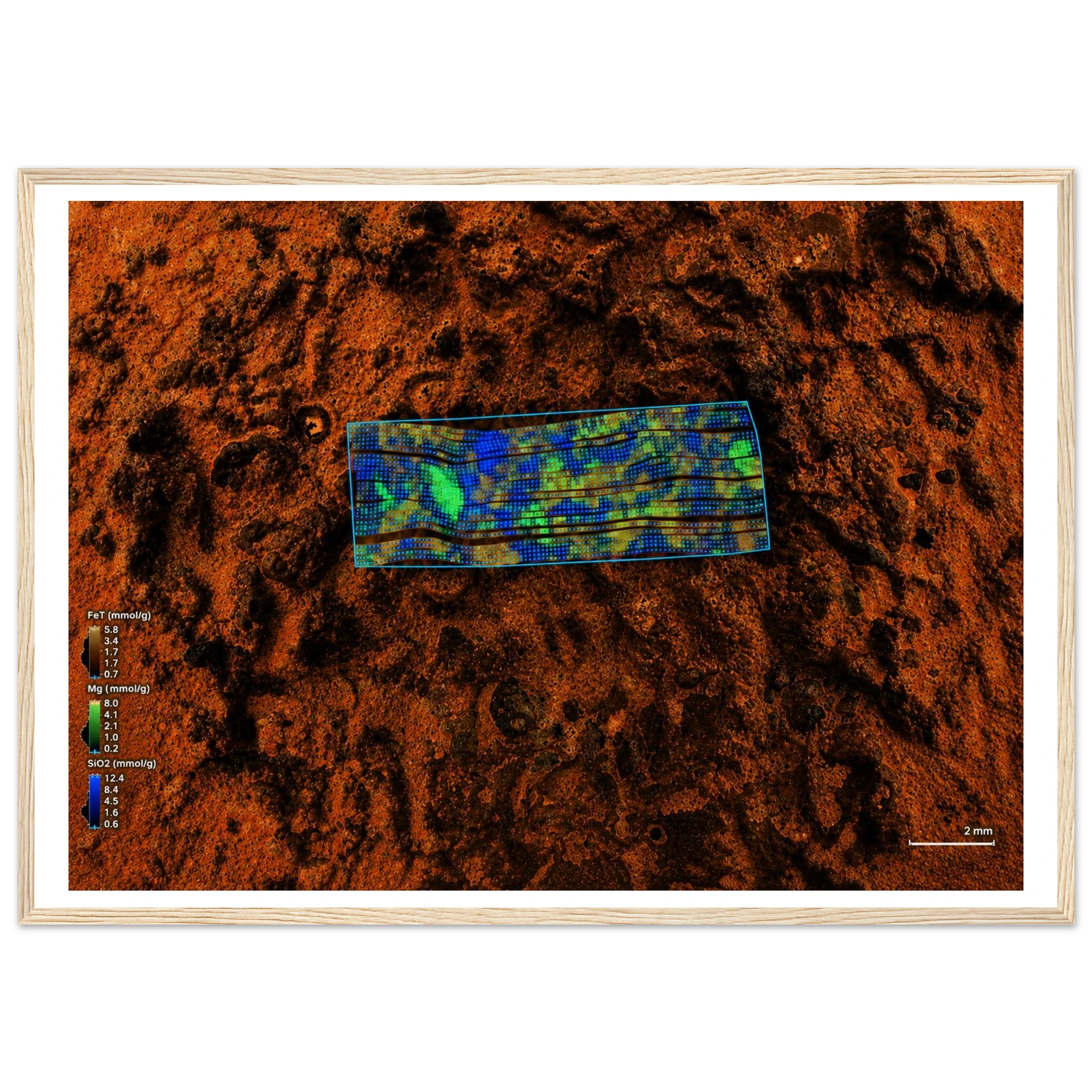 418cc81d-c12e-4e8f-b5a0-dd036cbc1448