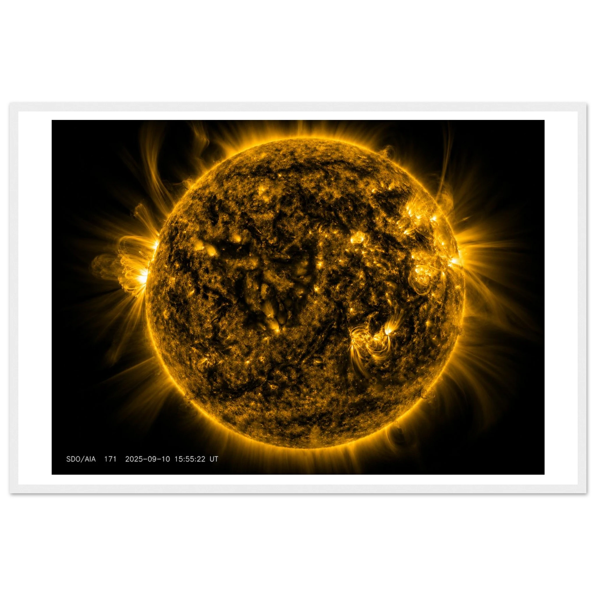 41a7f573-b831-4c5c-bf16-c73bba4cadf4