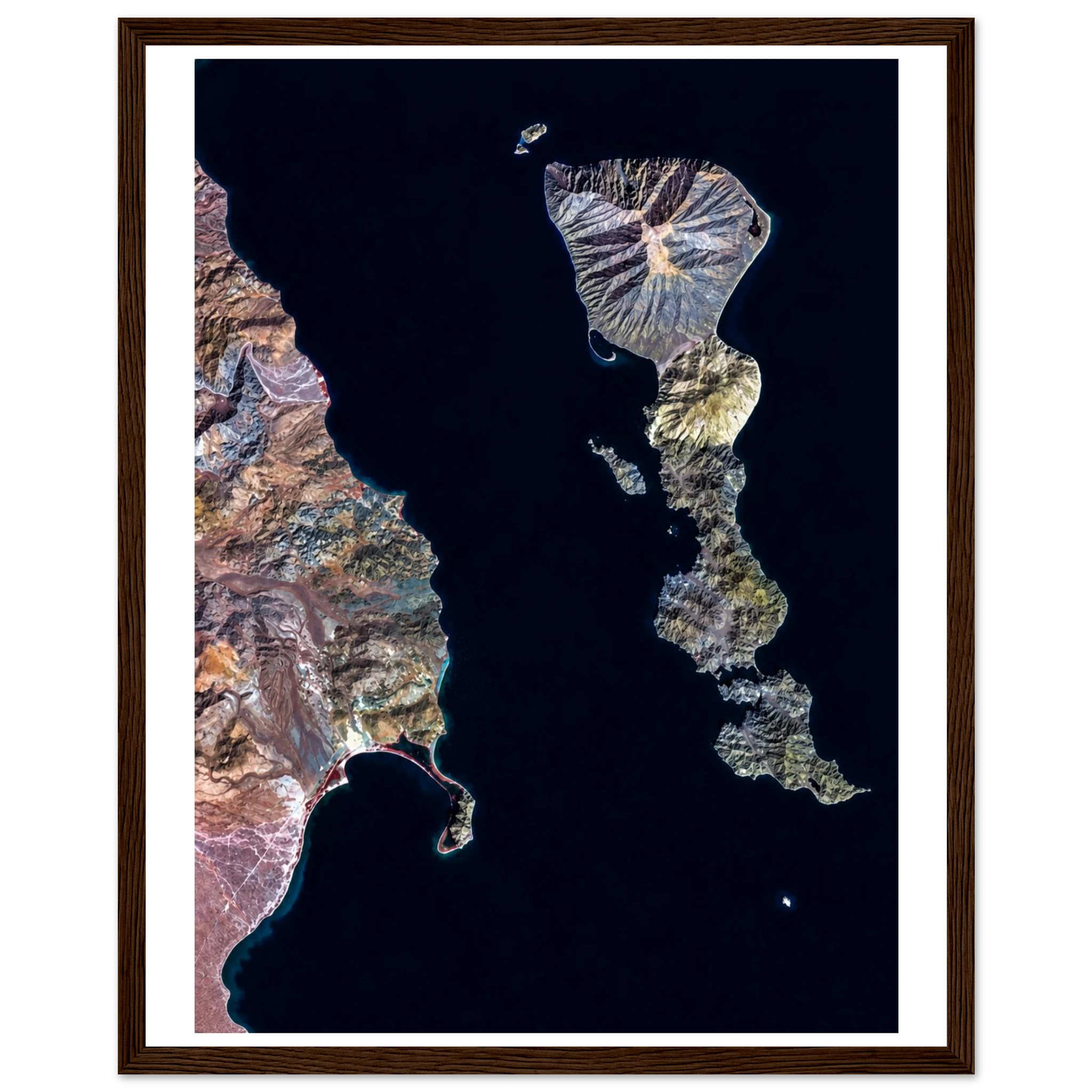 41b5ad34-0a1f-4575-9175-5df39297a7c8