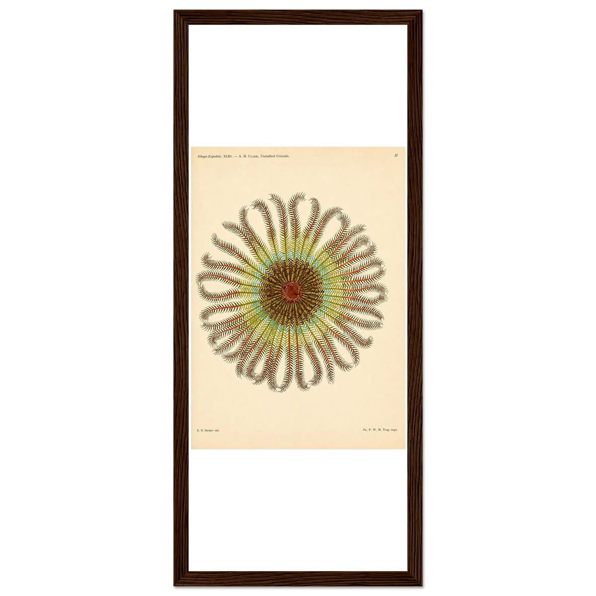42c4c4da-1e4d-48b6-9b32-ed91740c5da2