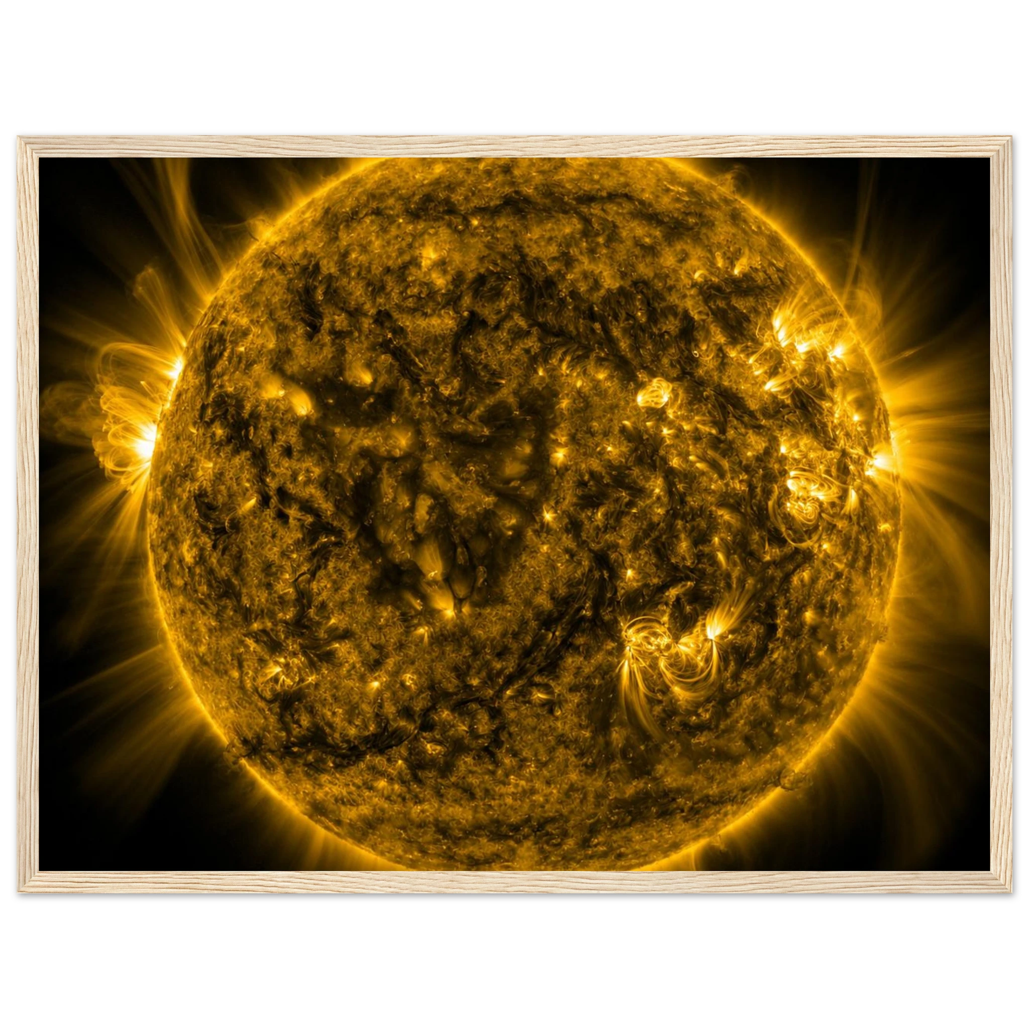 431e86fe-3fa5-4707-a9b1-46c6bb55ecba