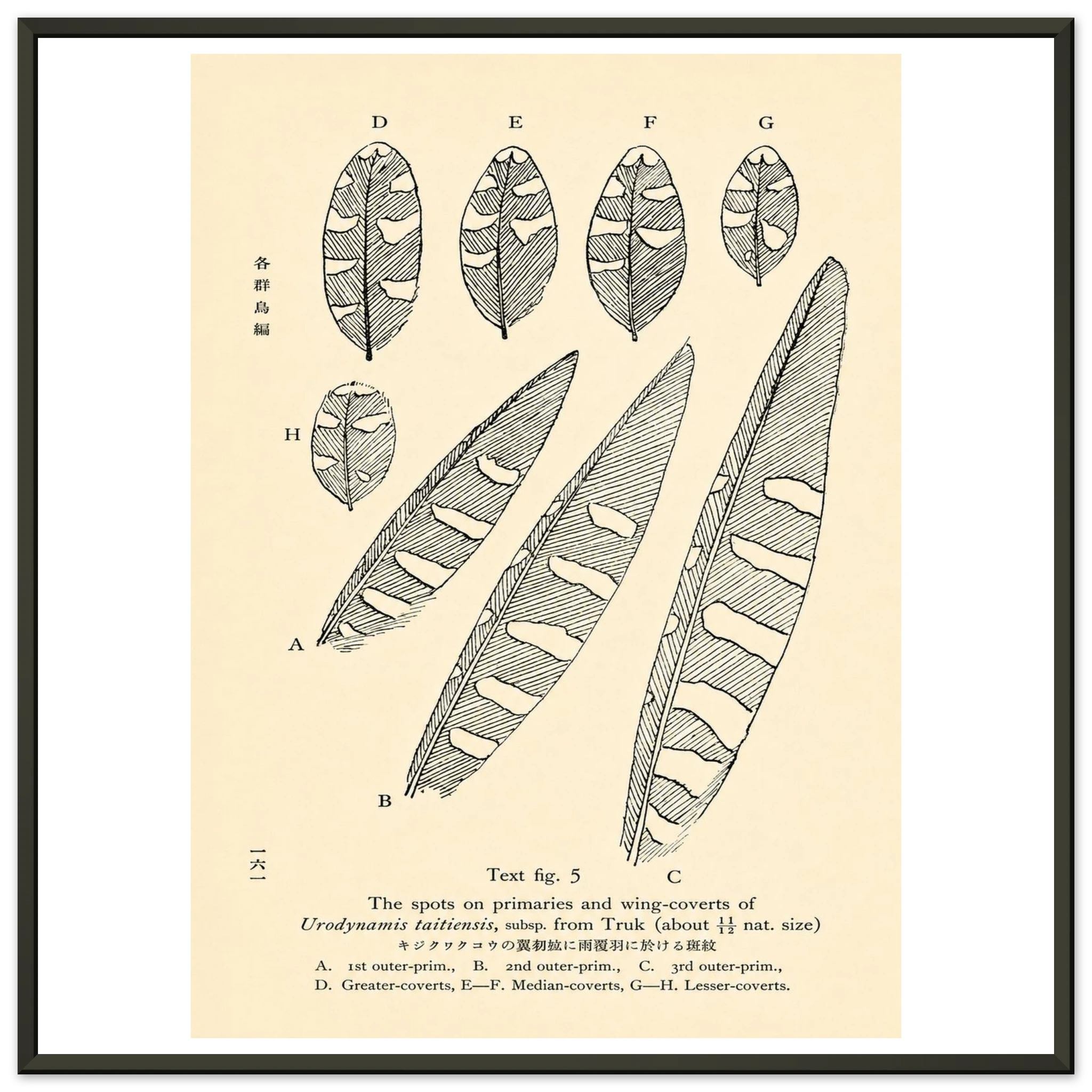 4339f897-197a-4a3a-88fa-3b9cd78ce7f4
