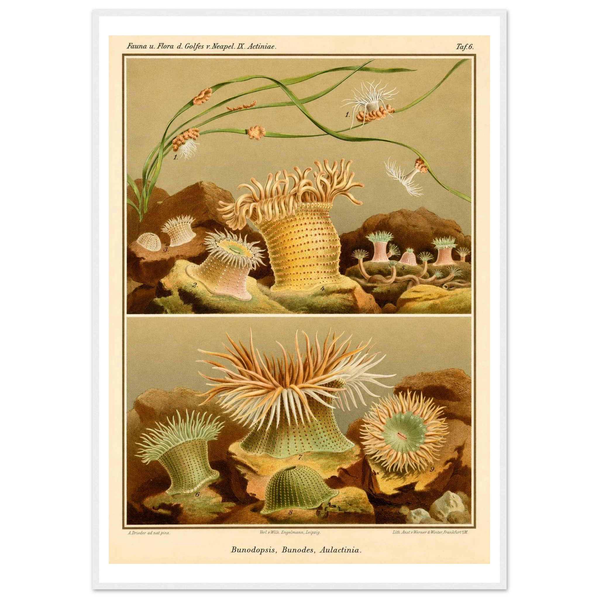 439e9b46-cad8-4bee-9e7f-d98ea8d3c6ce