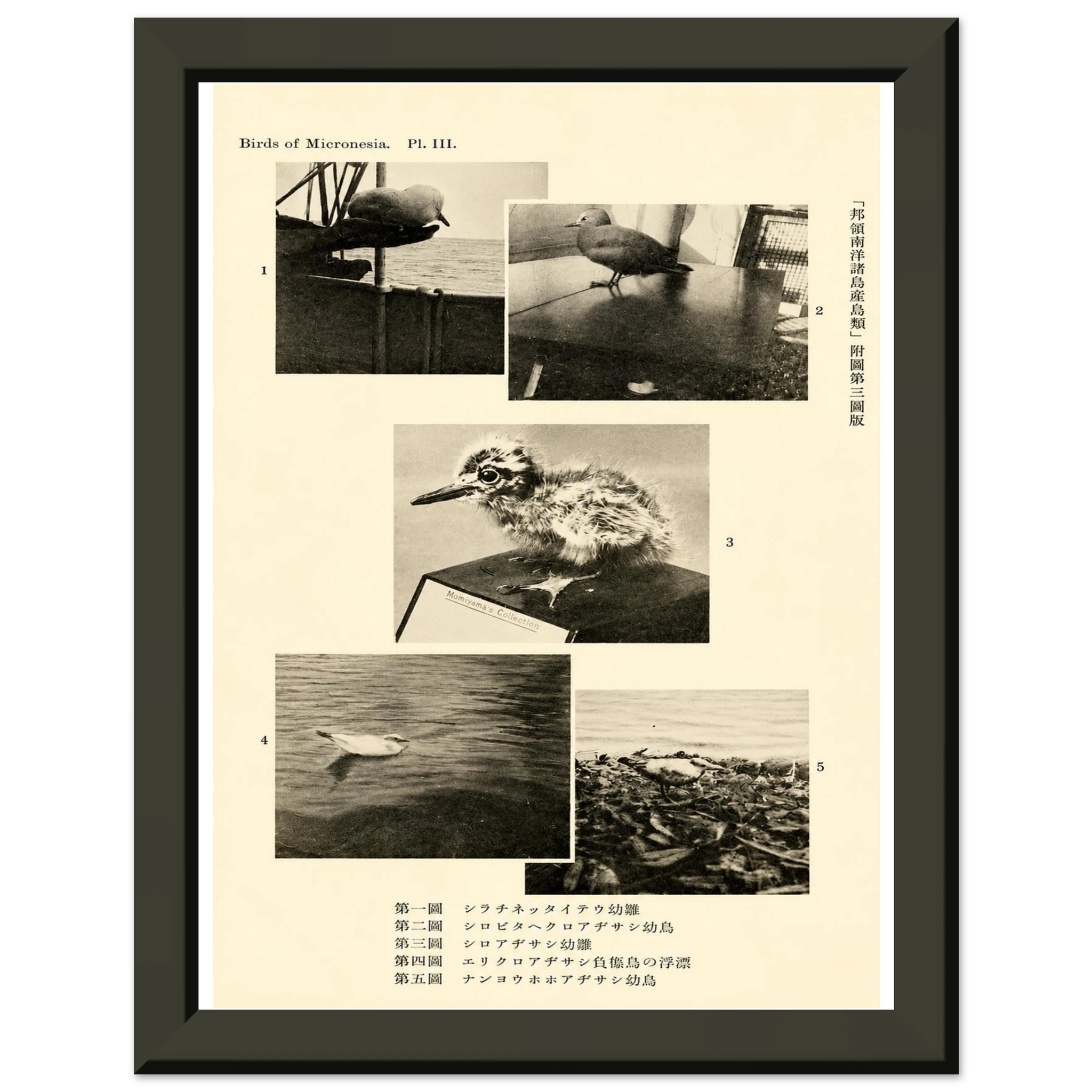 43edb183-b805-4f59-8e99-5f21dde2a7b8