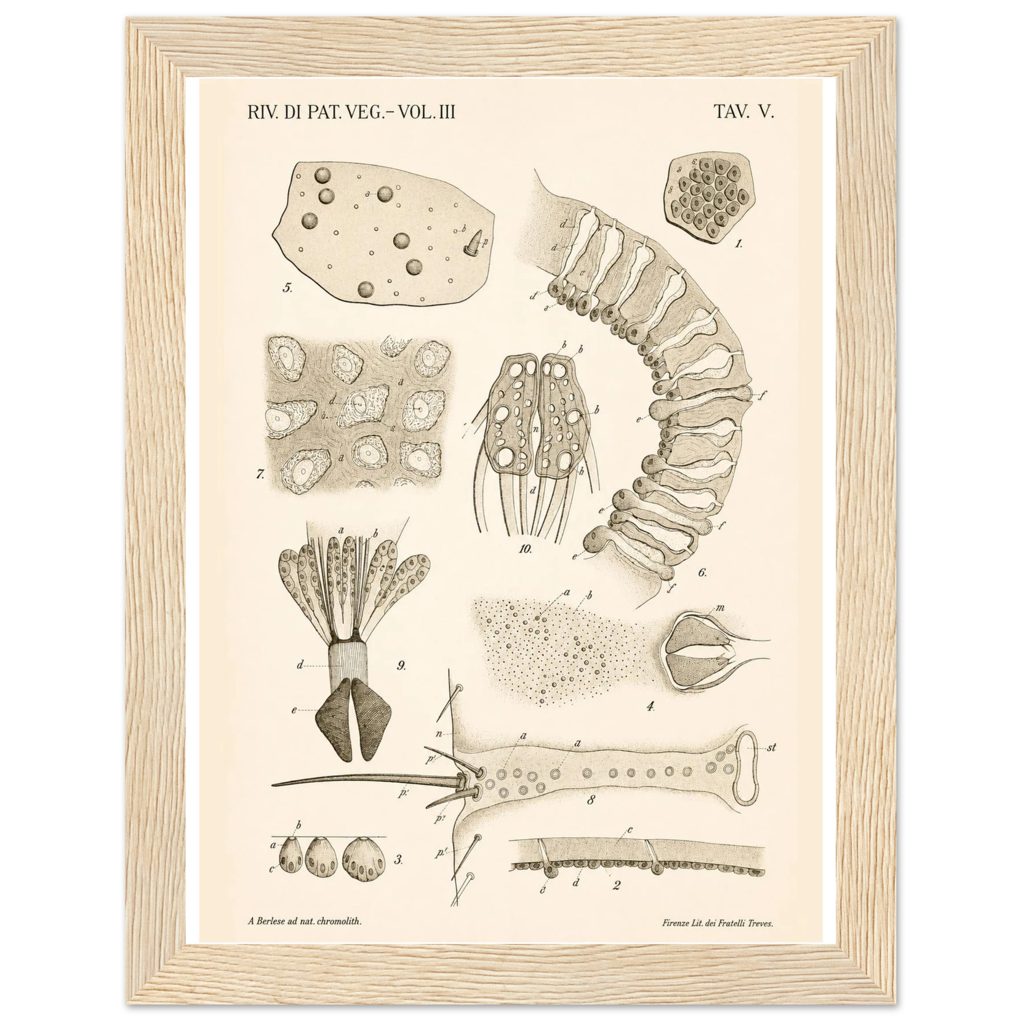 44662aa7-d7d1-4b61-9759-f8e819c6709e