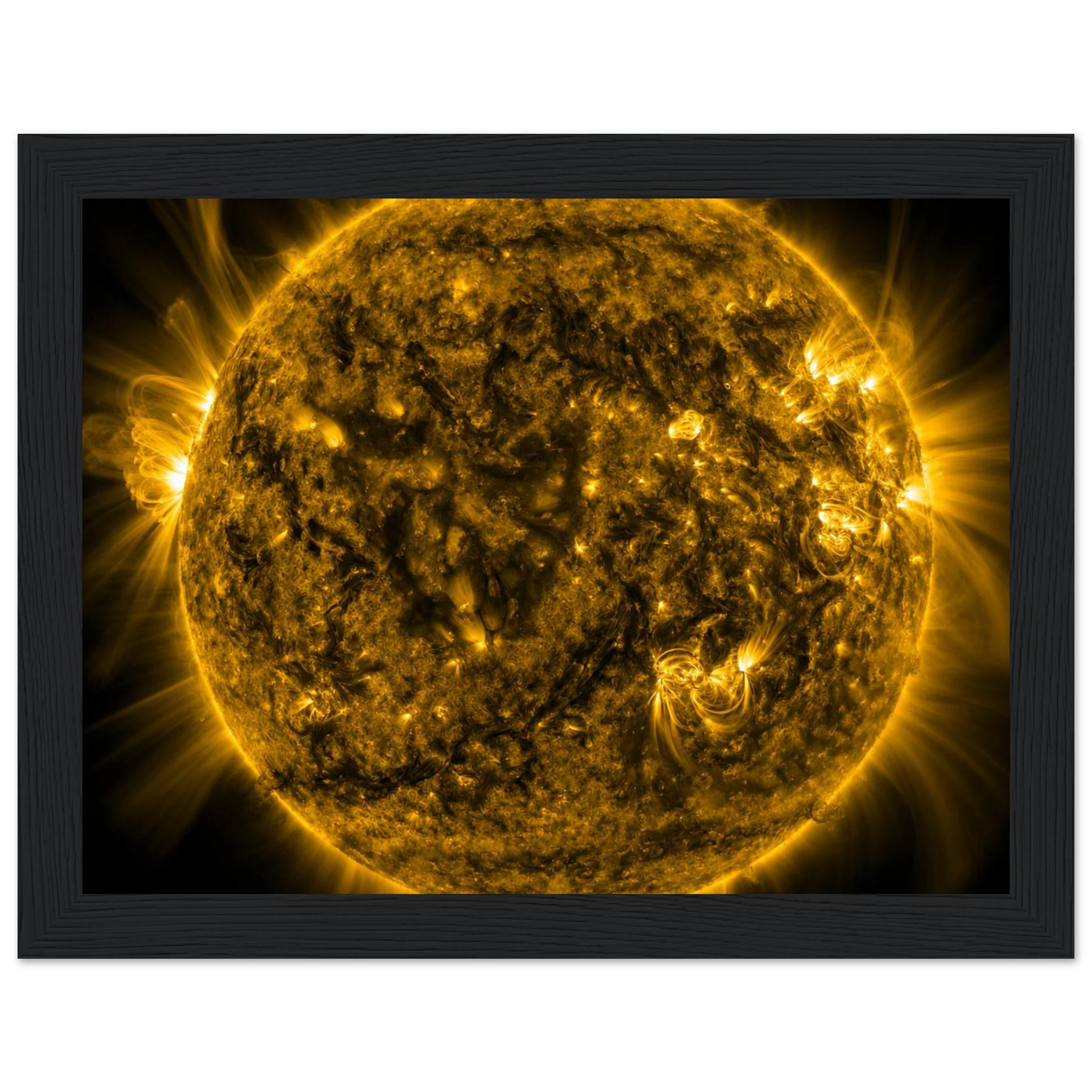 4477aaa9-34bc-4292-ab41-c74f9e7ed498
