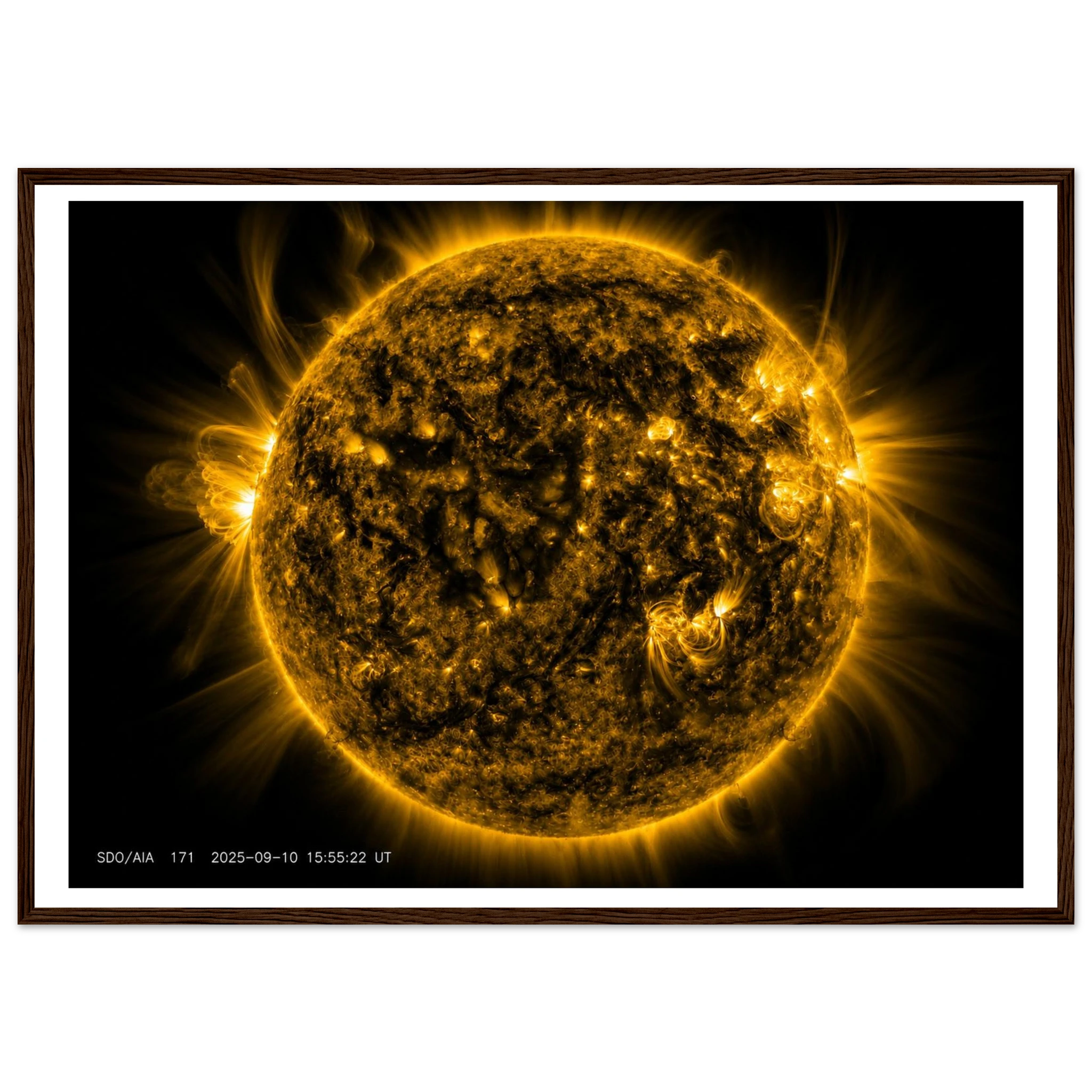 448c8afb-4b3b-40b6-ae93-ce60c60355c6
