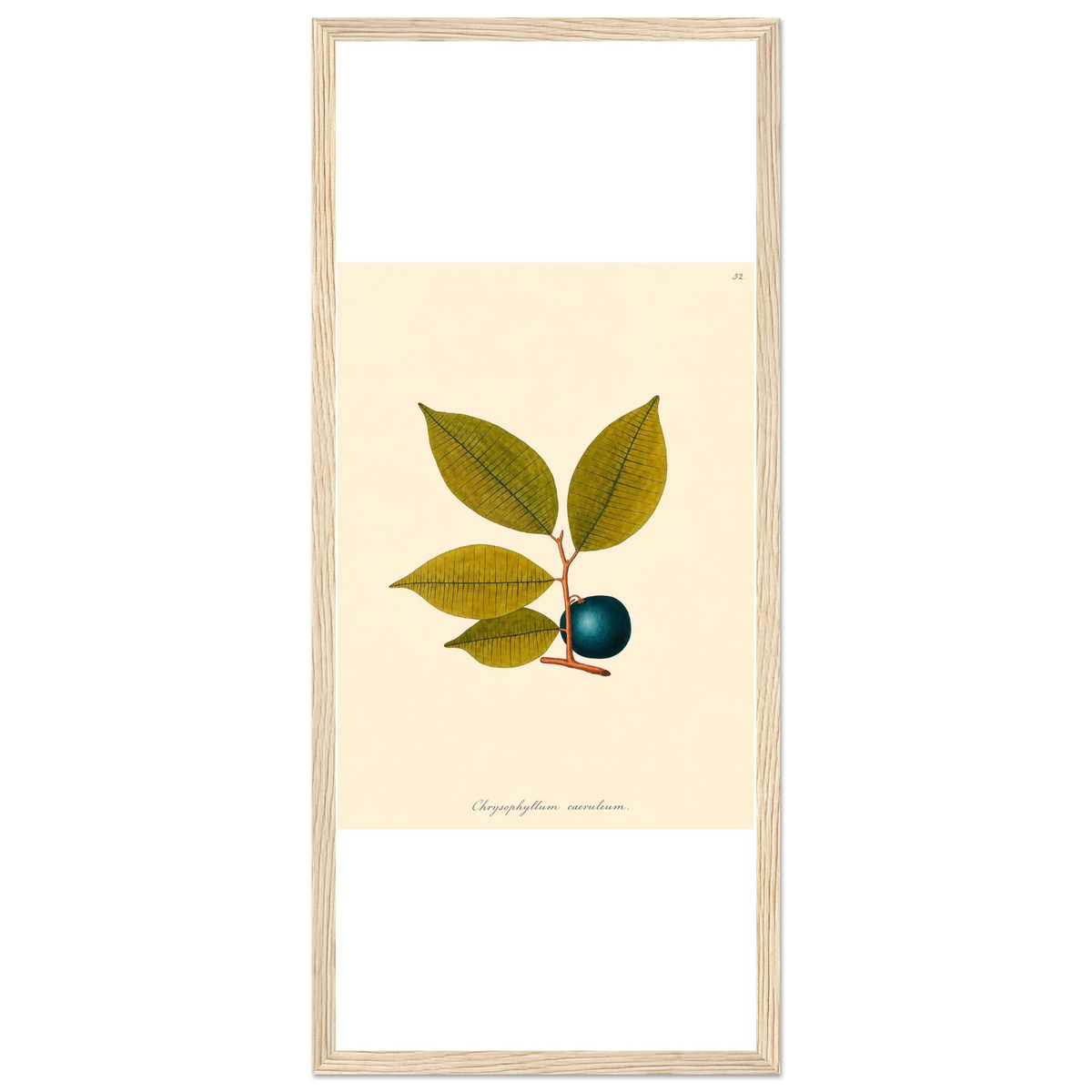 454ce5c8-17a1-4717-922c-ffc8ddcac3c6