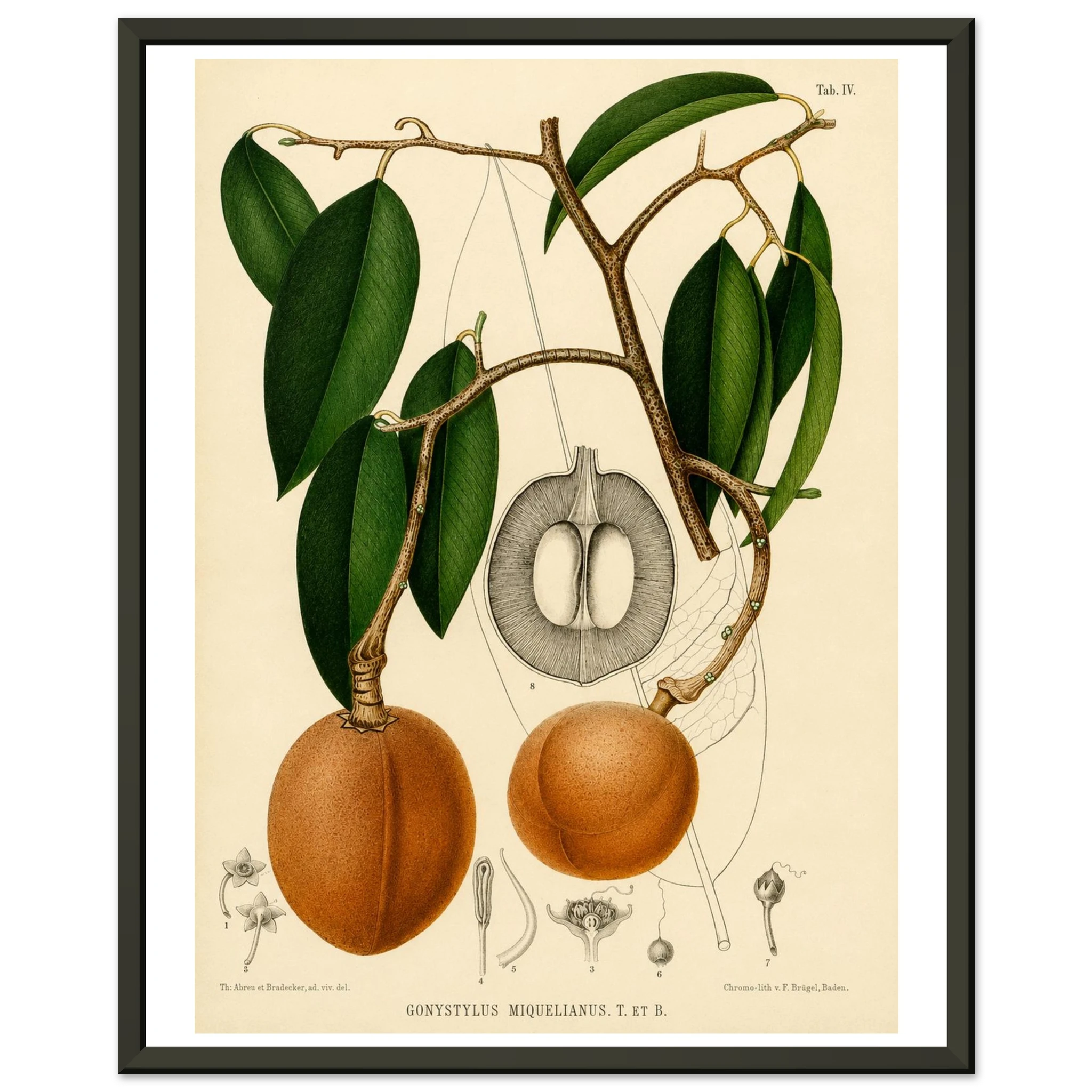 45998780-0dfb-44f9-b689-1d45053400a9