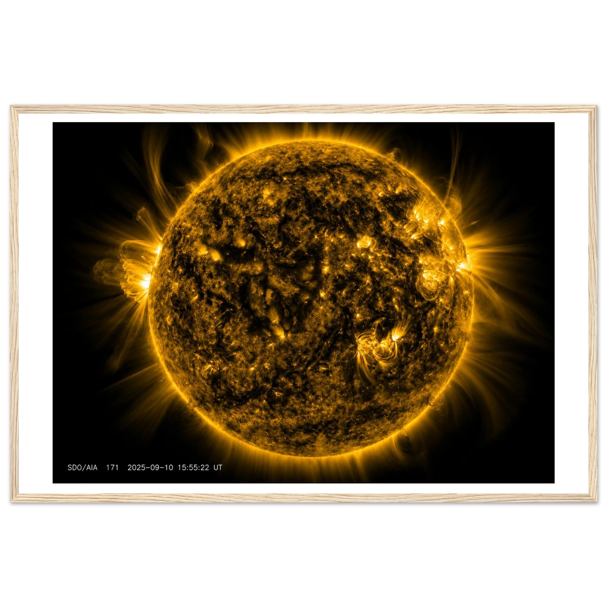 46989144-4e46-4c98-90be-8661c08b23f0