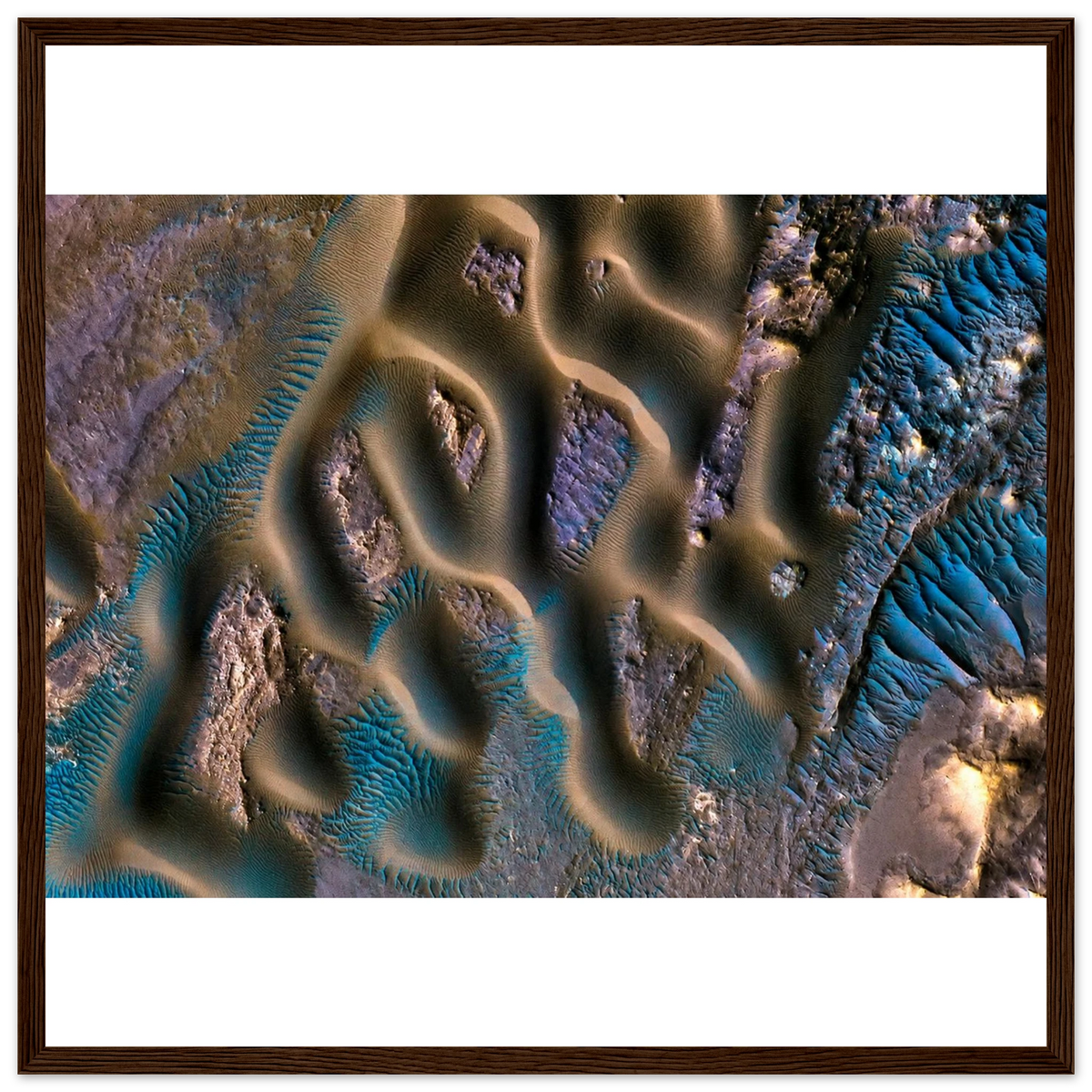 485d8c63-b441-4c5e-8c52-b11e8b1a908b