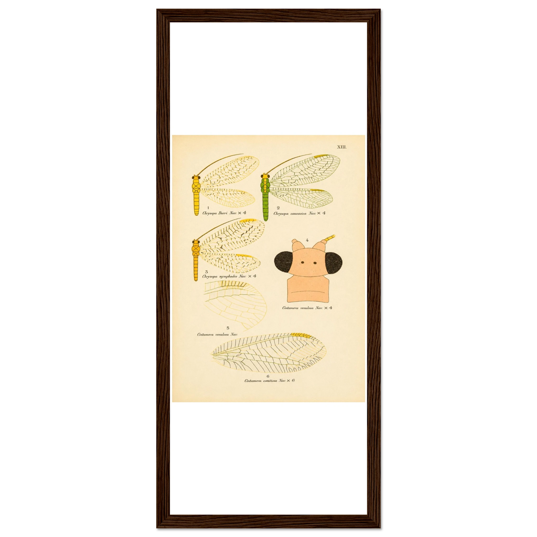 48c059f0-5736-4607-a8db-0bee7ab9dfde