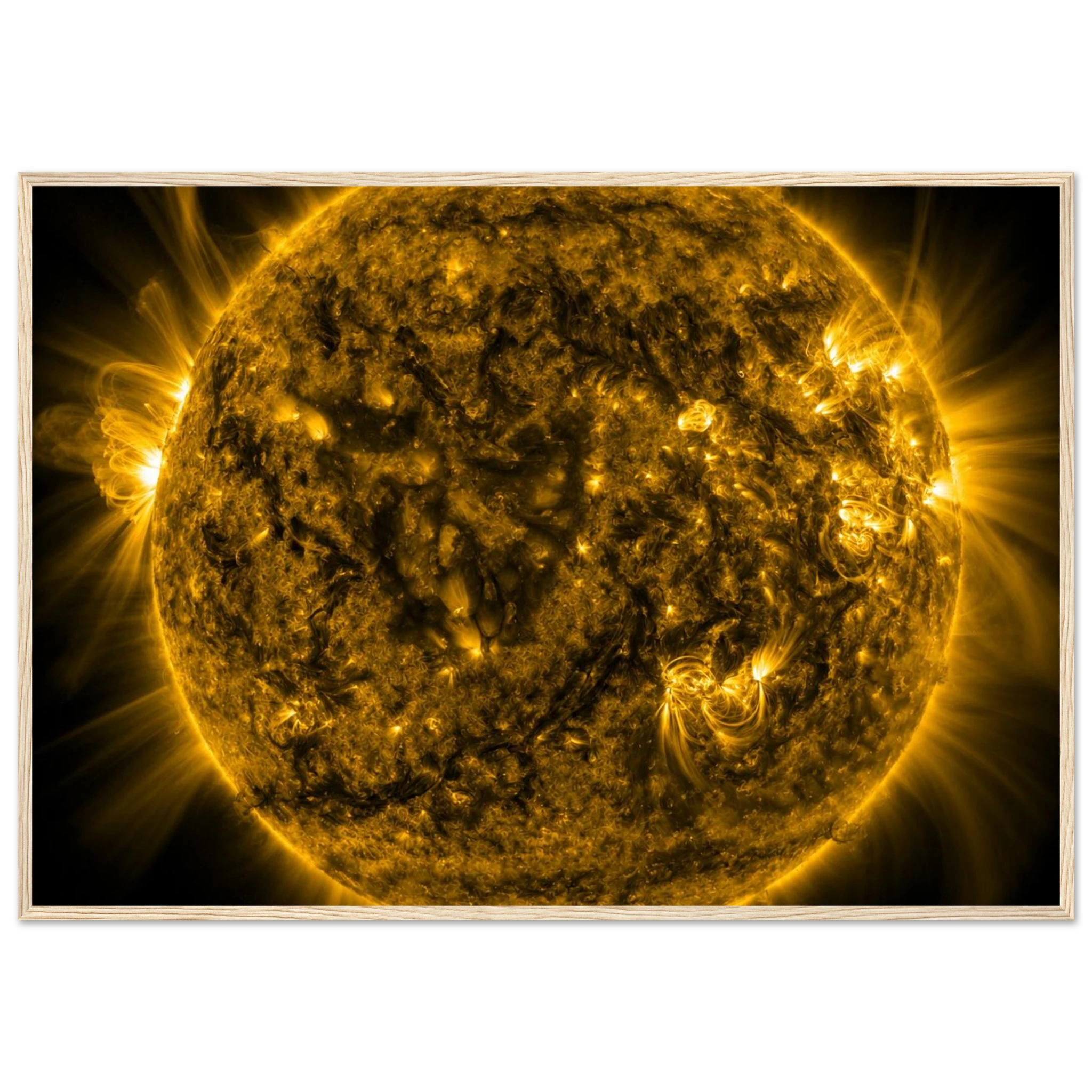 490c0eee-2d9f-4133-a6d5-325bc91dc504