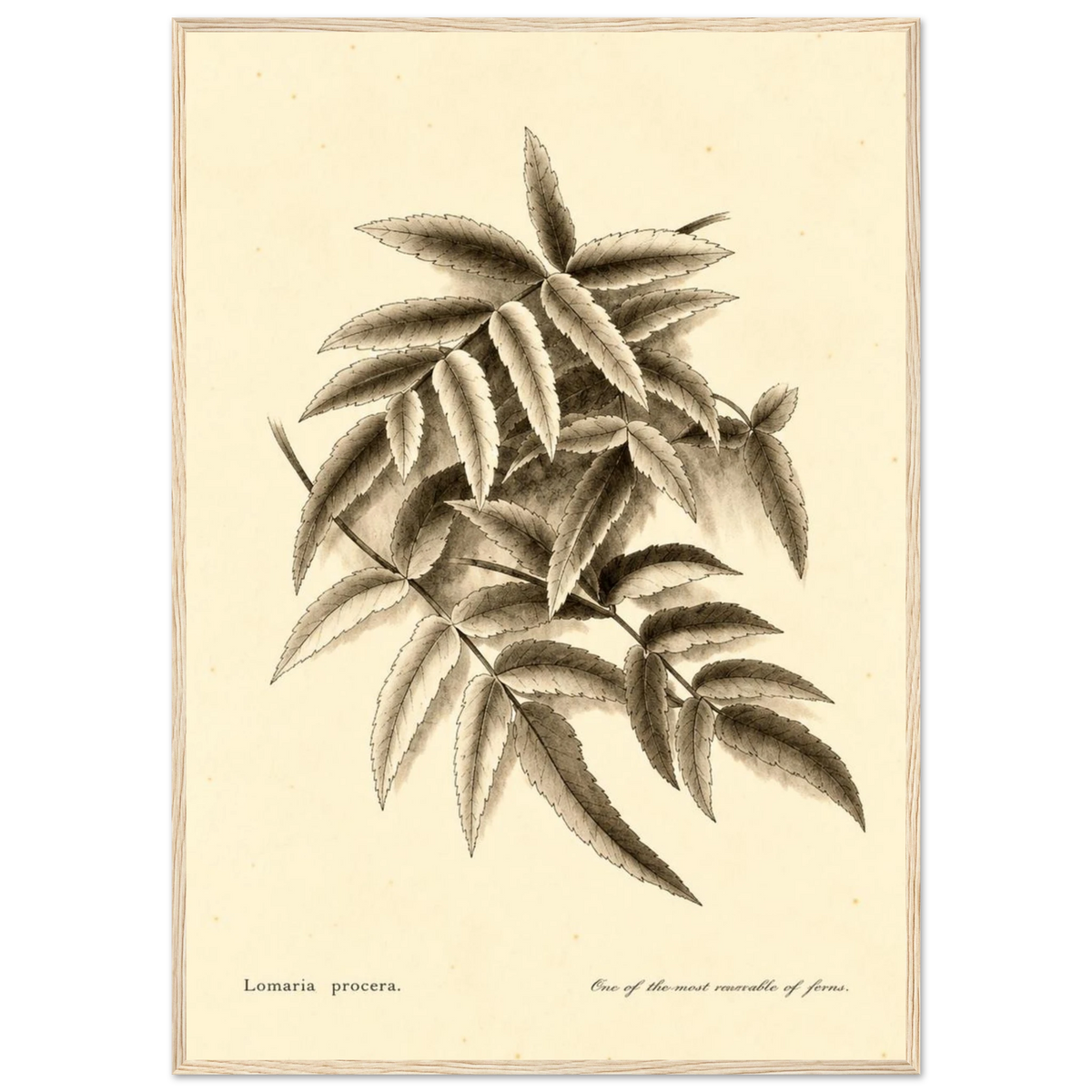 499778c0-fa76-4920-b488-e718af23460d