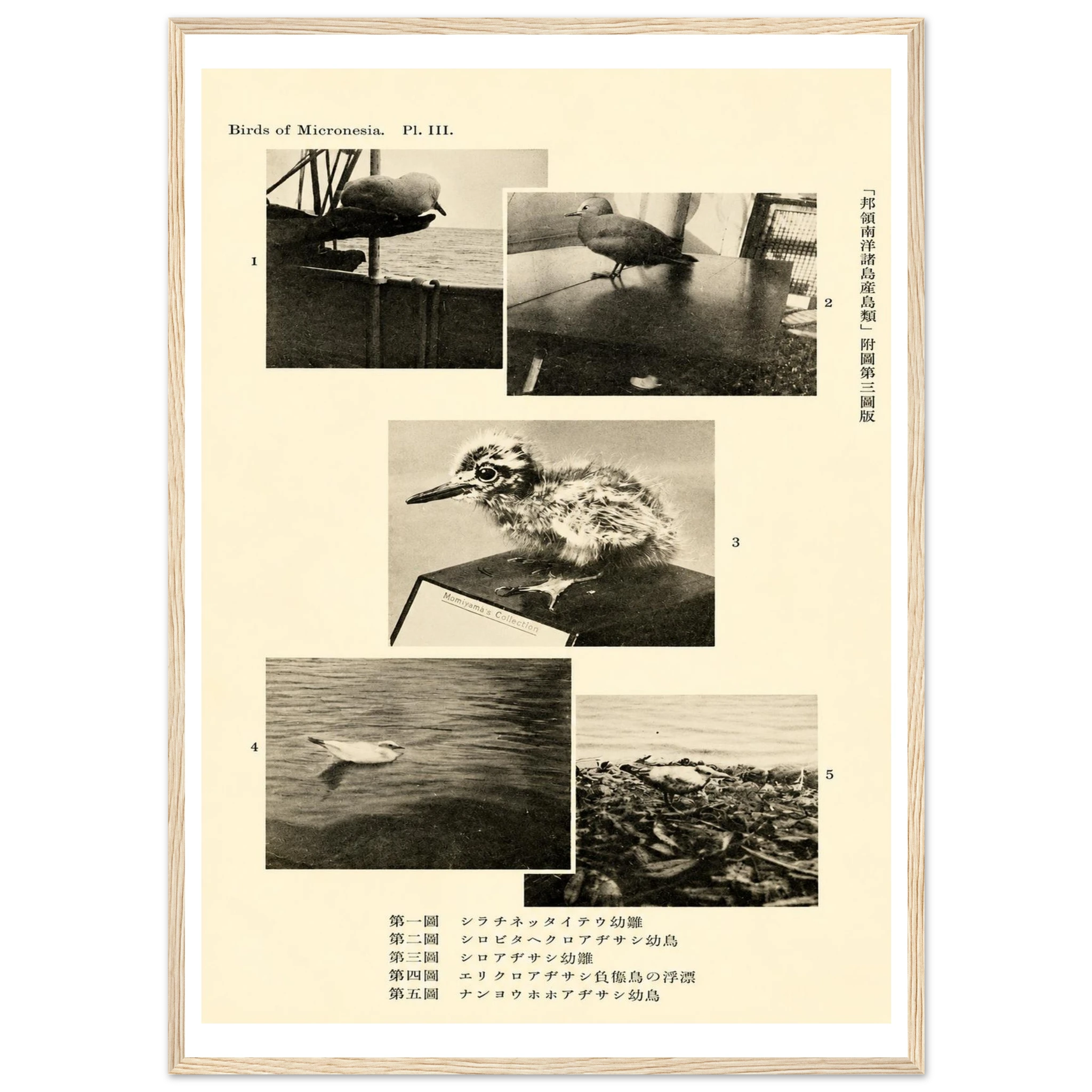 49e91043-df25-4672-b82e-db5a03eaeedf