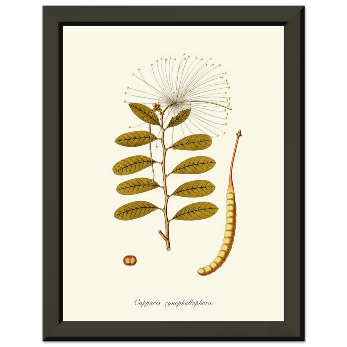 4a4981fb-5b73-4c6d-ad9a-9d681f5a0b84