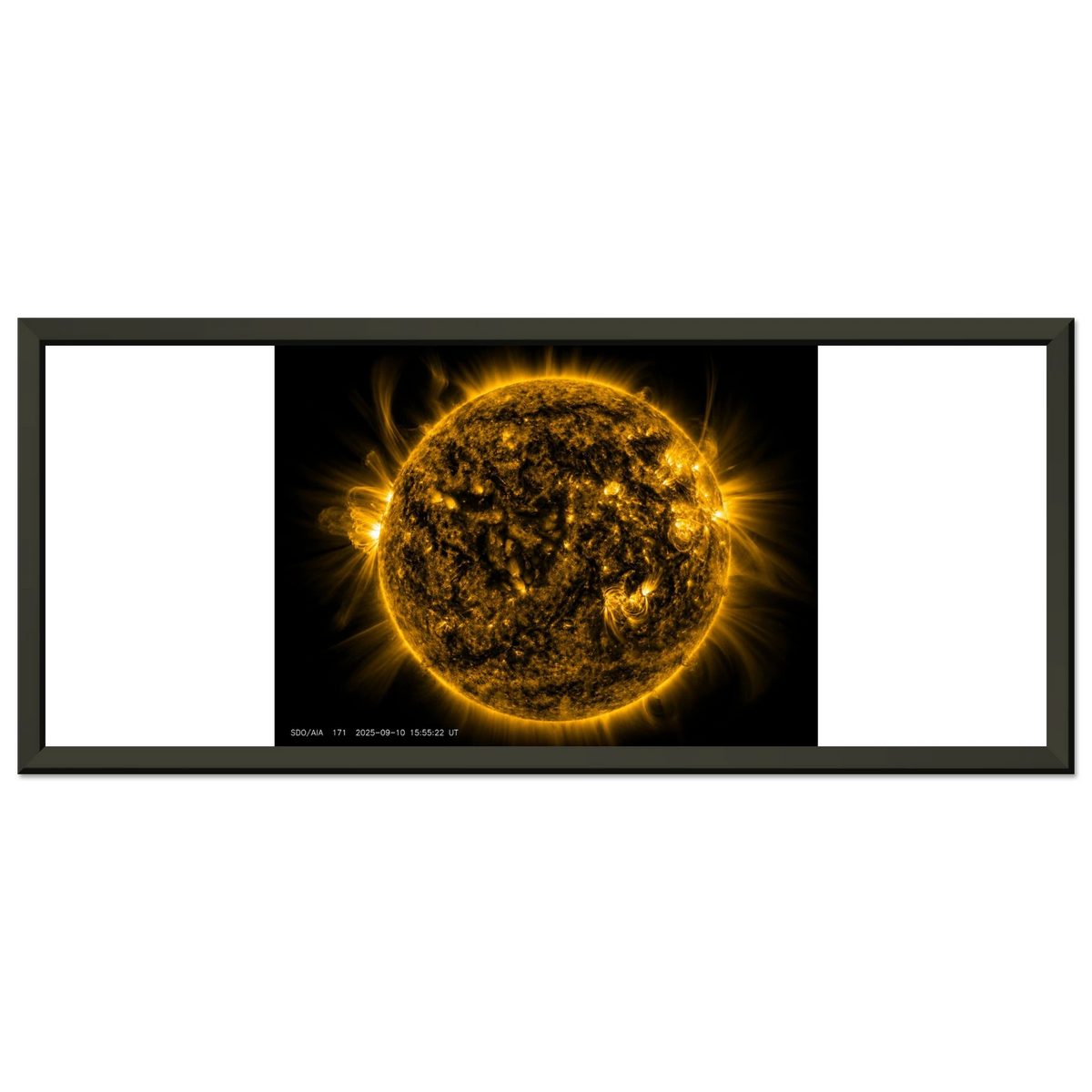 4a5eac8b-c1a8-4d08-b4af-d1921bfd3a69