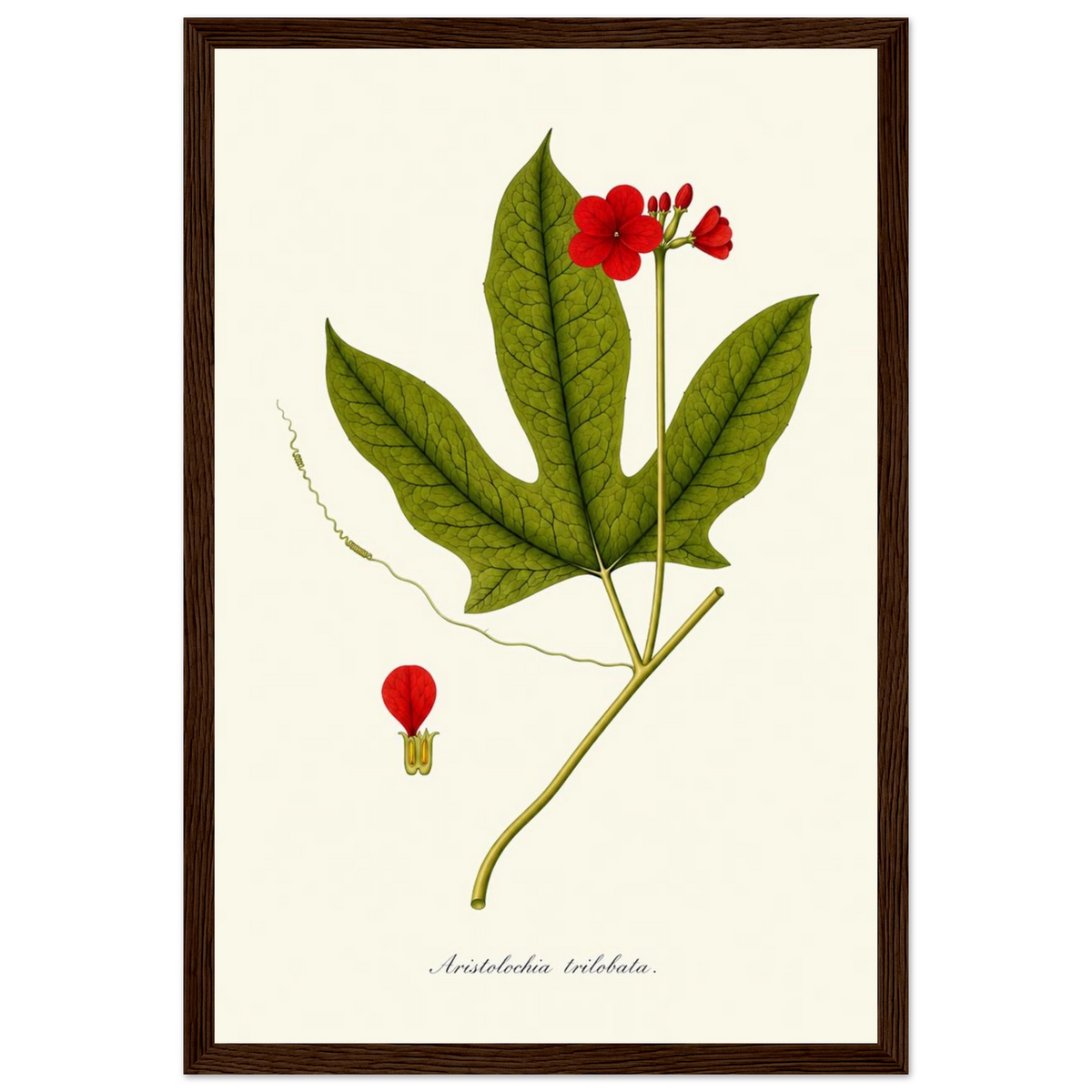 4a778b59-2625-444f-99f8-1920ea235613