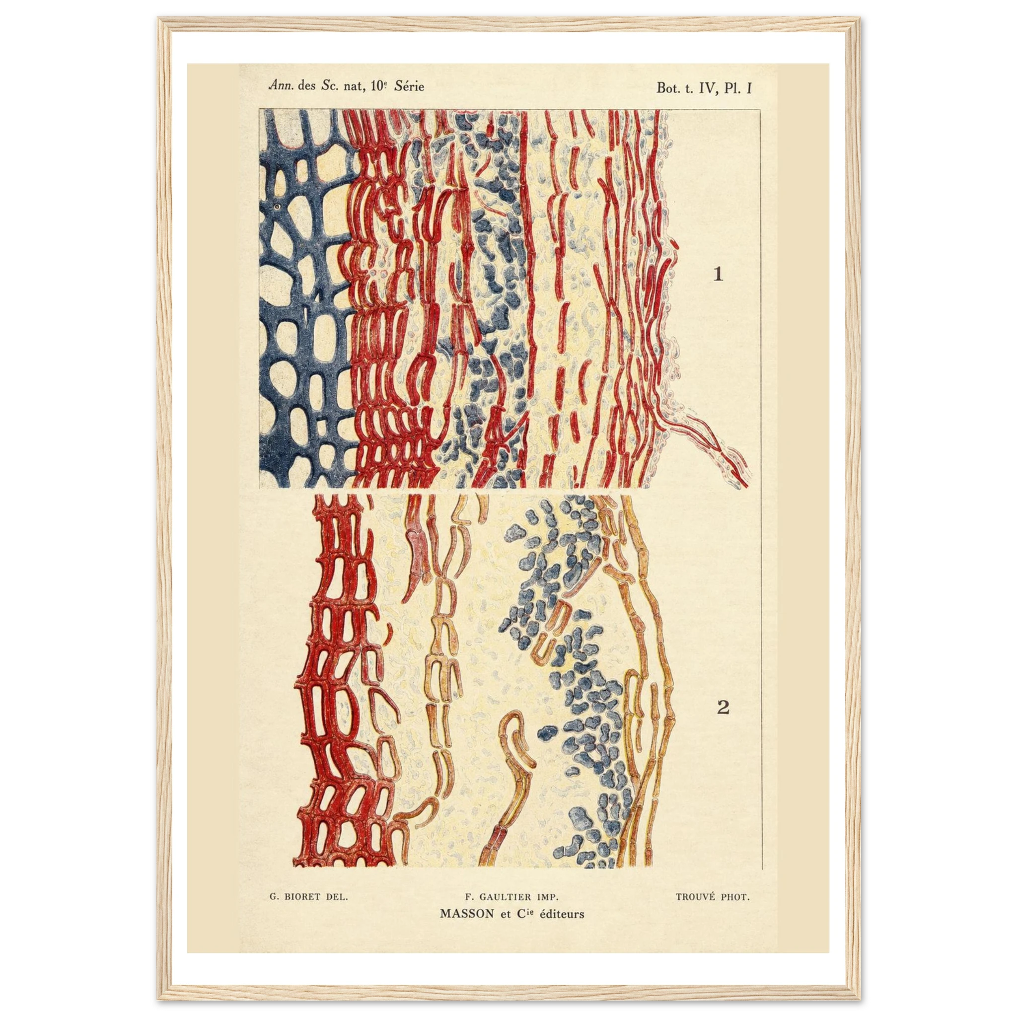 4b4257a0-c1f0-497e-b0a1-c9e645afb949