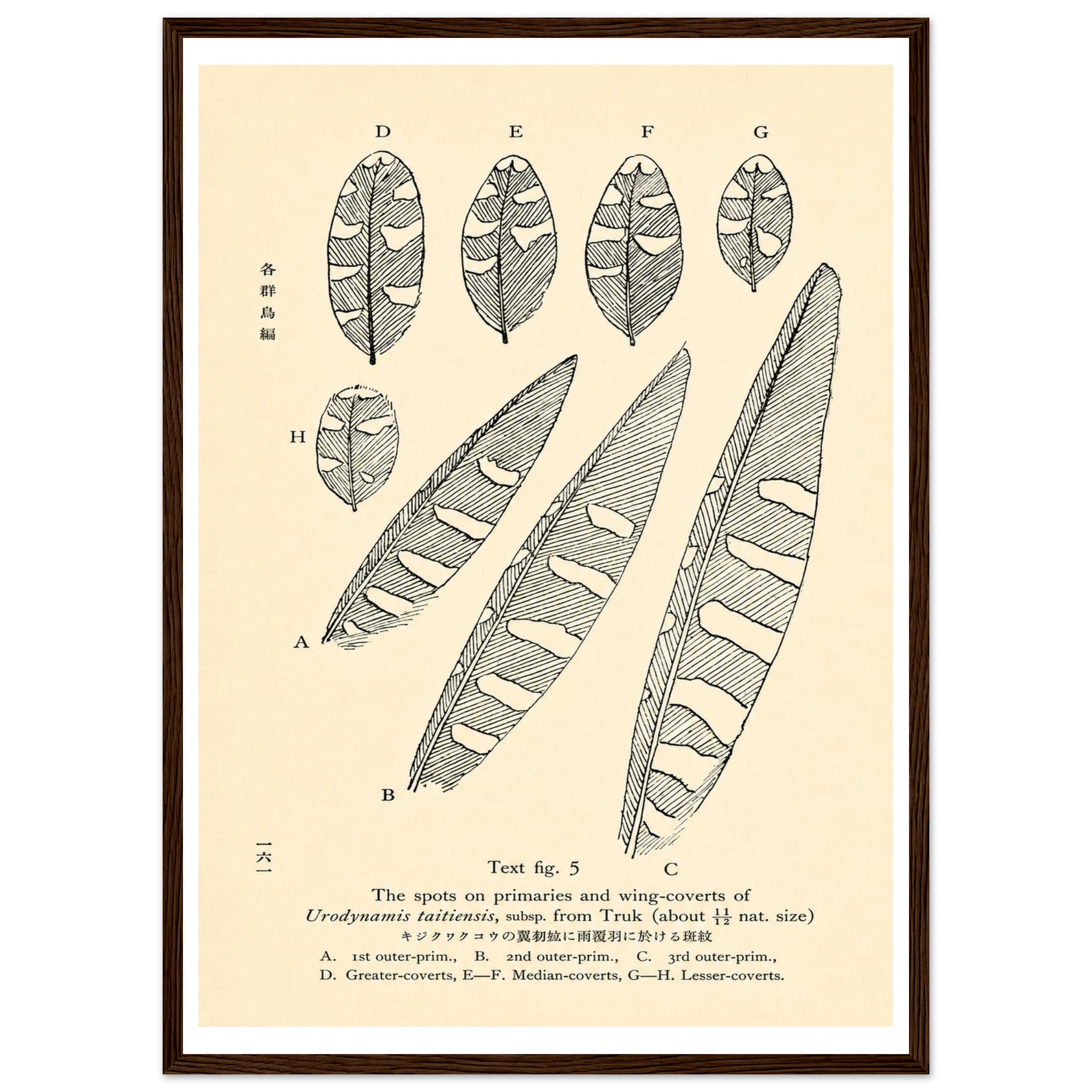4b65cb1d-598b-485e-b721-13bc0ea00c44