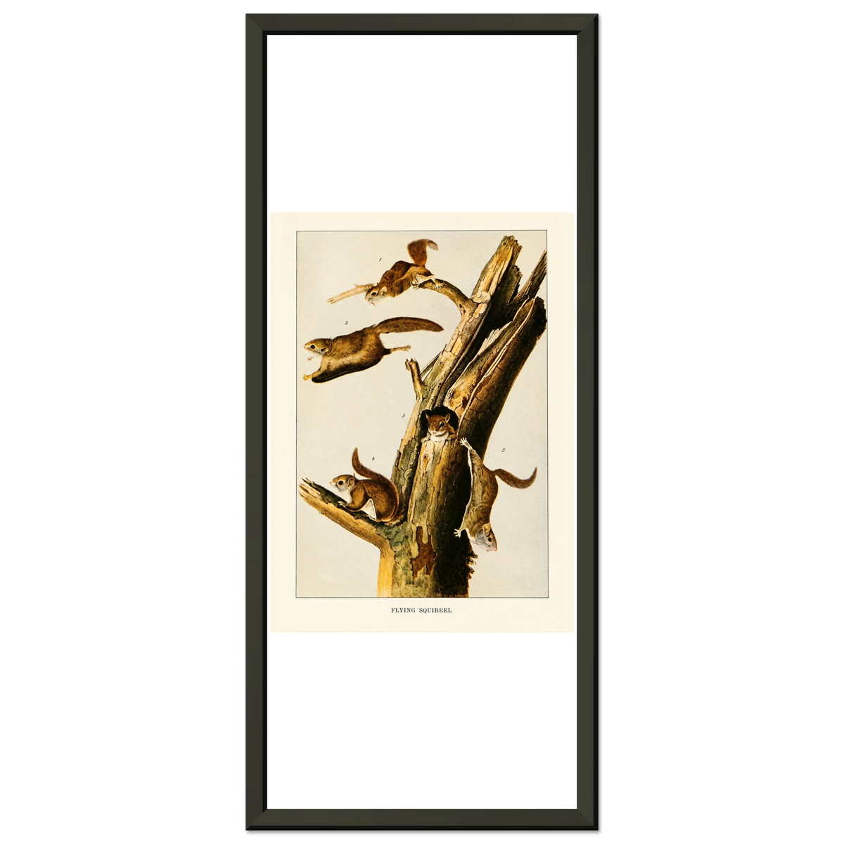 4c1b2736-97ff-4419-b09f-0e832cc9533f