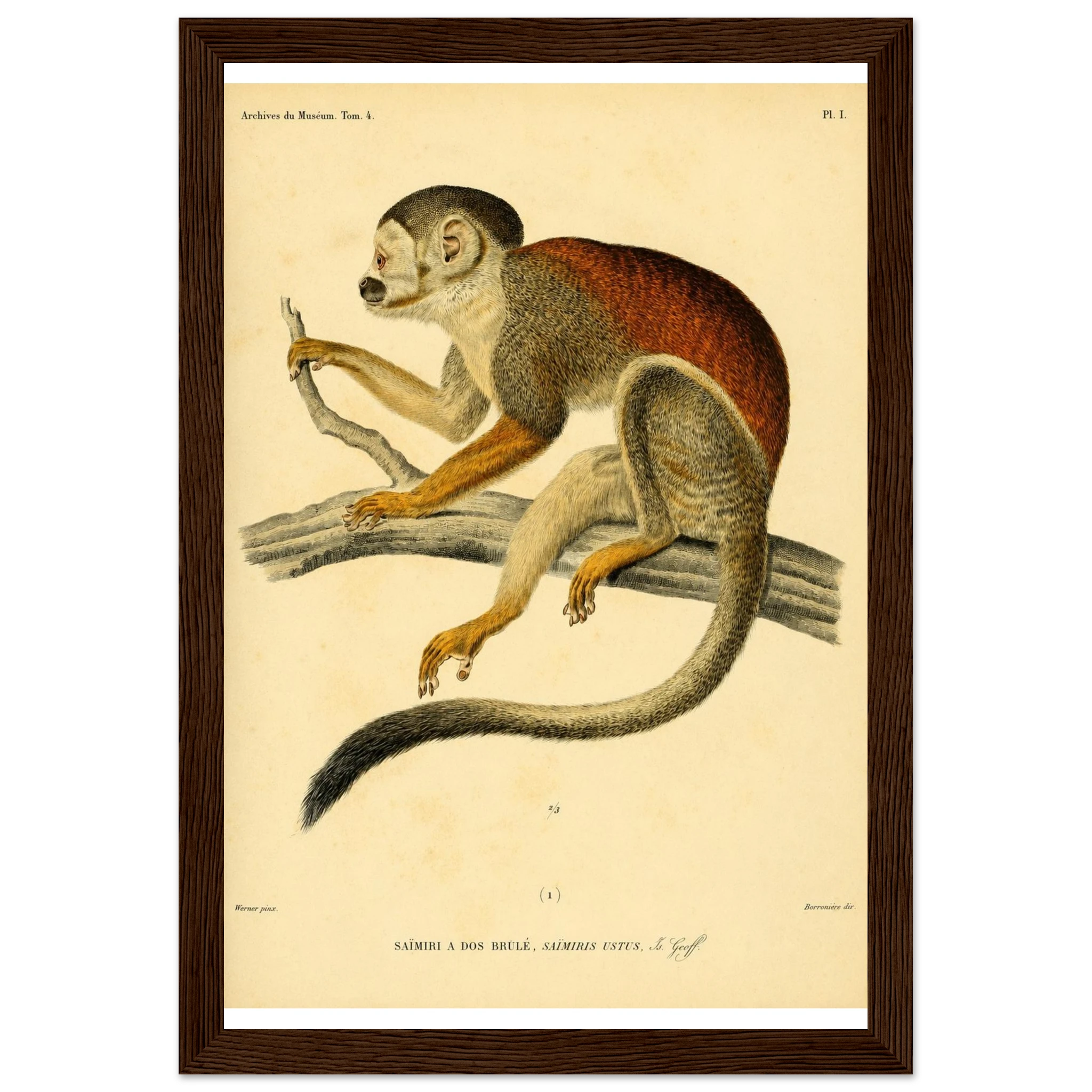 4c36e1ad-1252-4c11-8487-50b8ec390ade