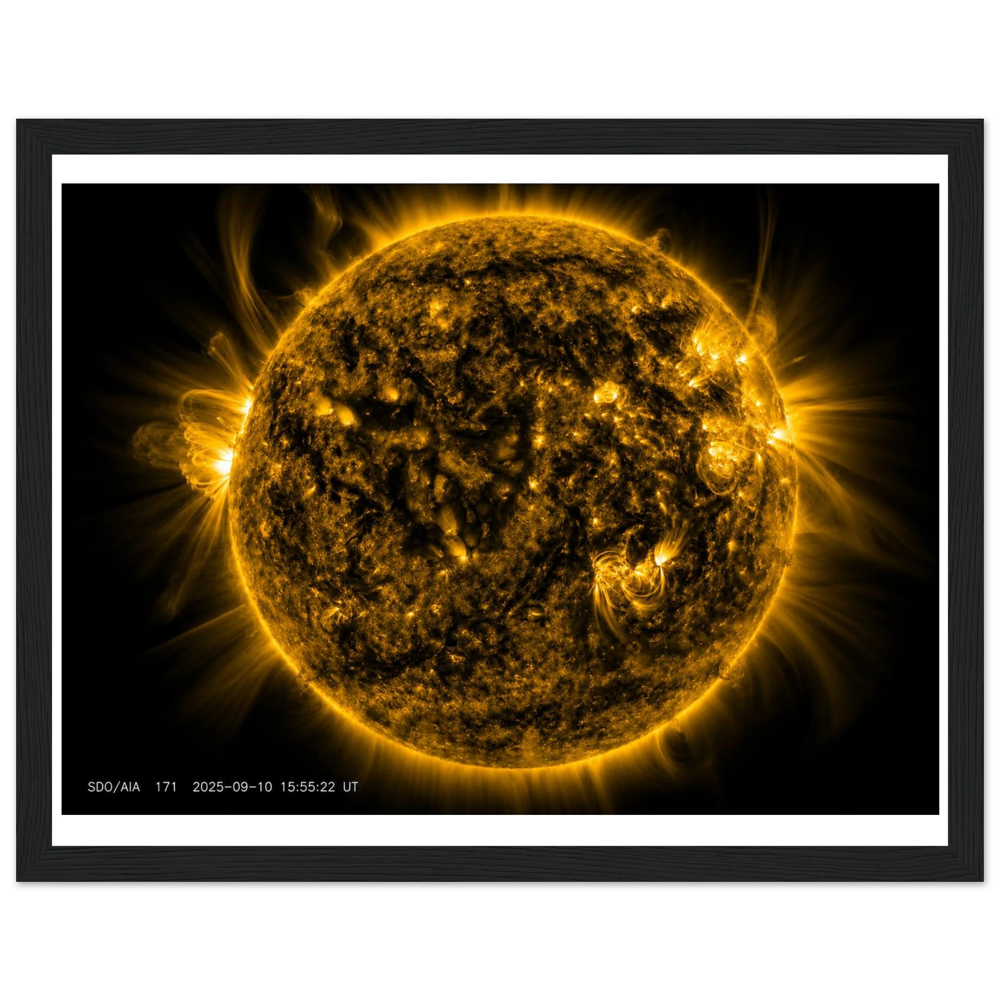 4c468267-e0a4-4c87-8fc1-cb8d2f384221