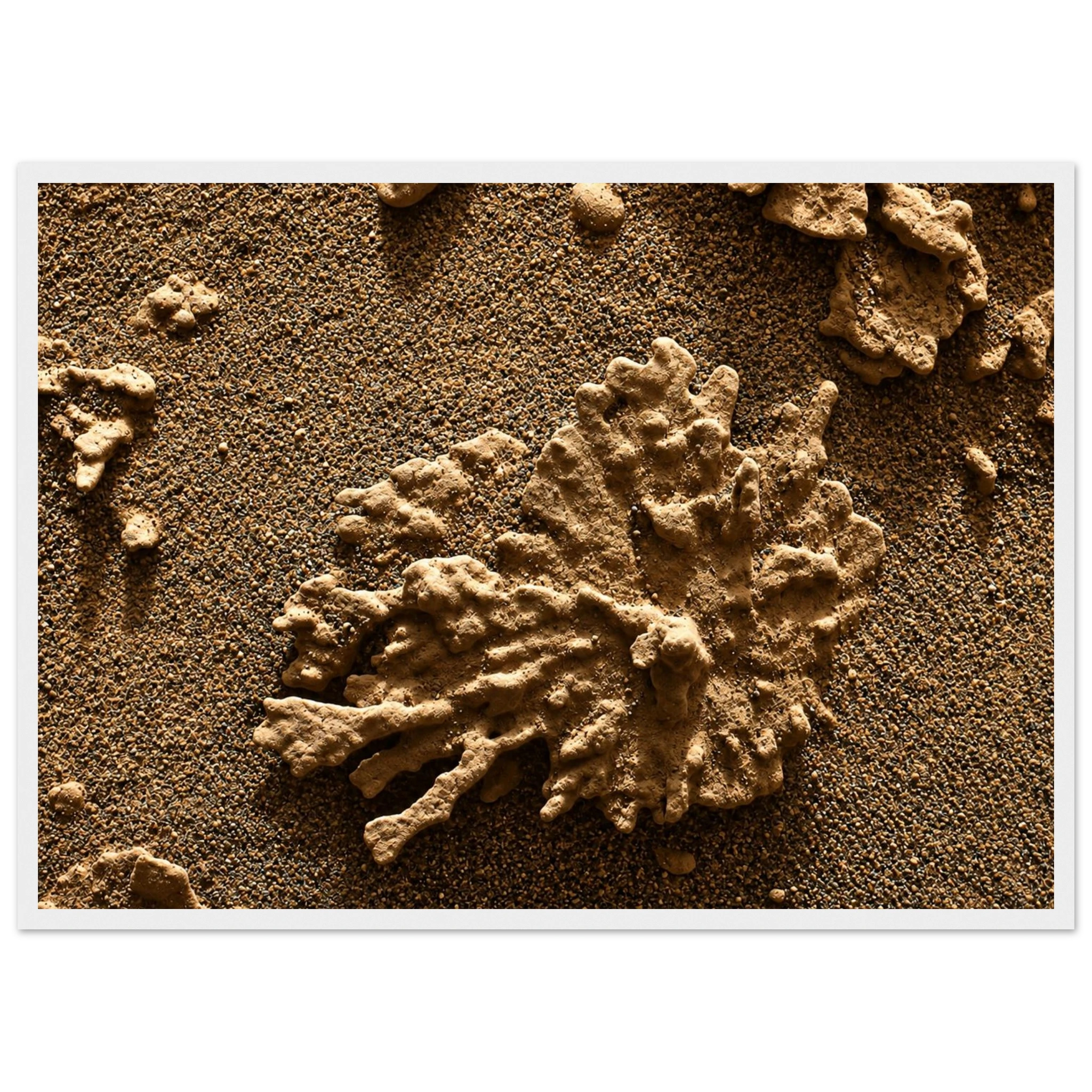 4c4e9488-cf15-4005-9658-85c51bc35c9b