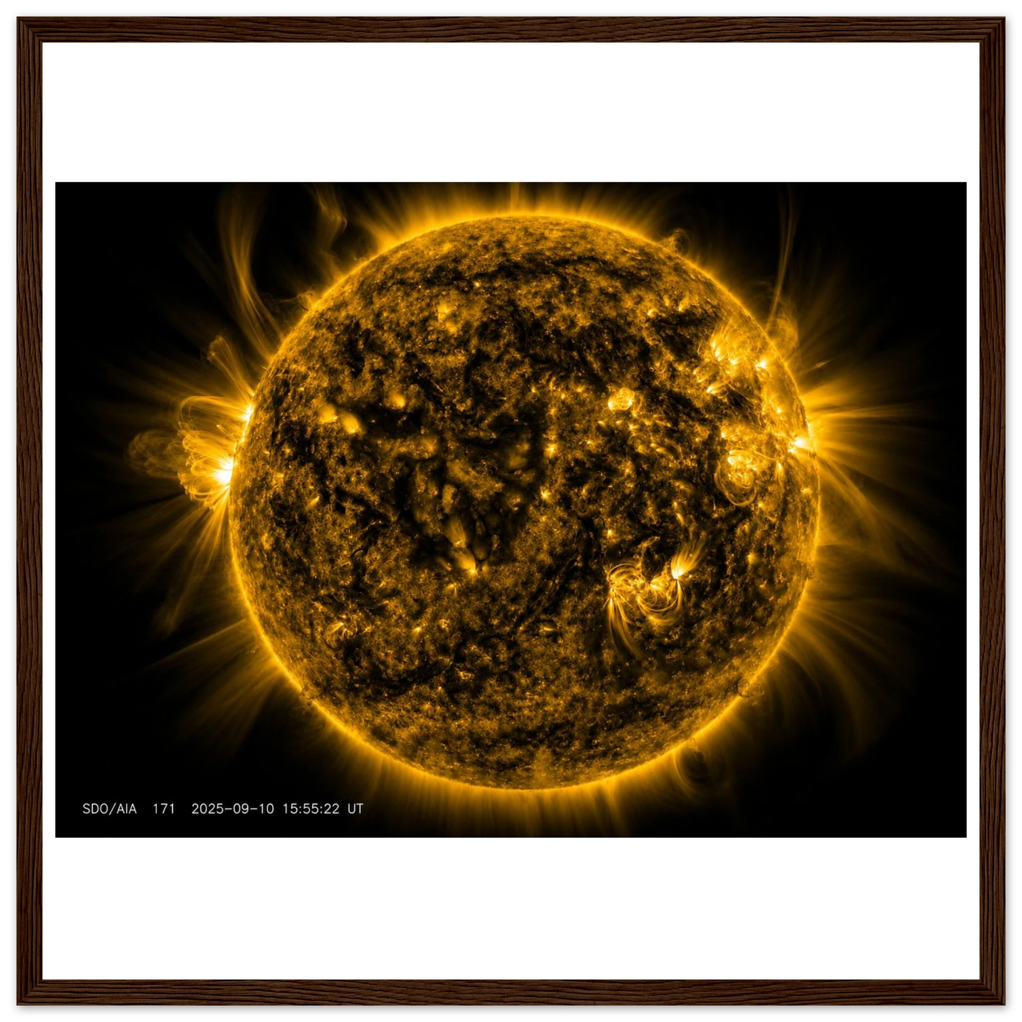 4c5a3de3-b49e-4bc1-8e2f-125f44ea6377