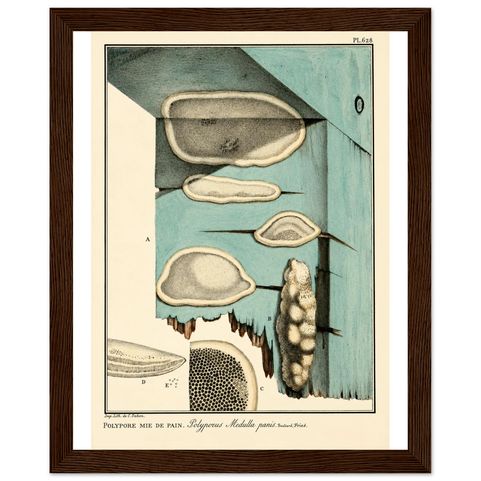 4cf04683-7cad-4dde-b3d4-d49116ef9cbe