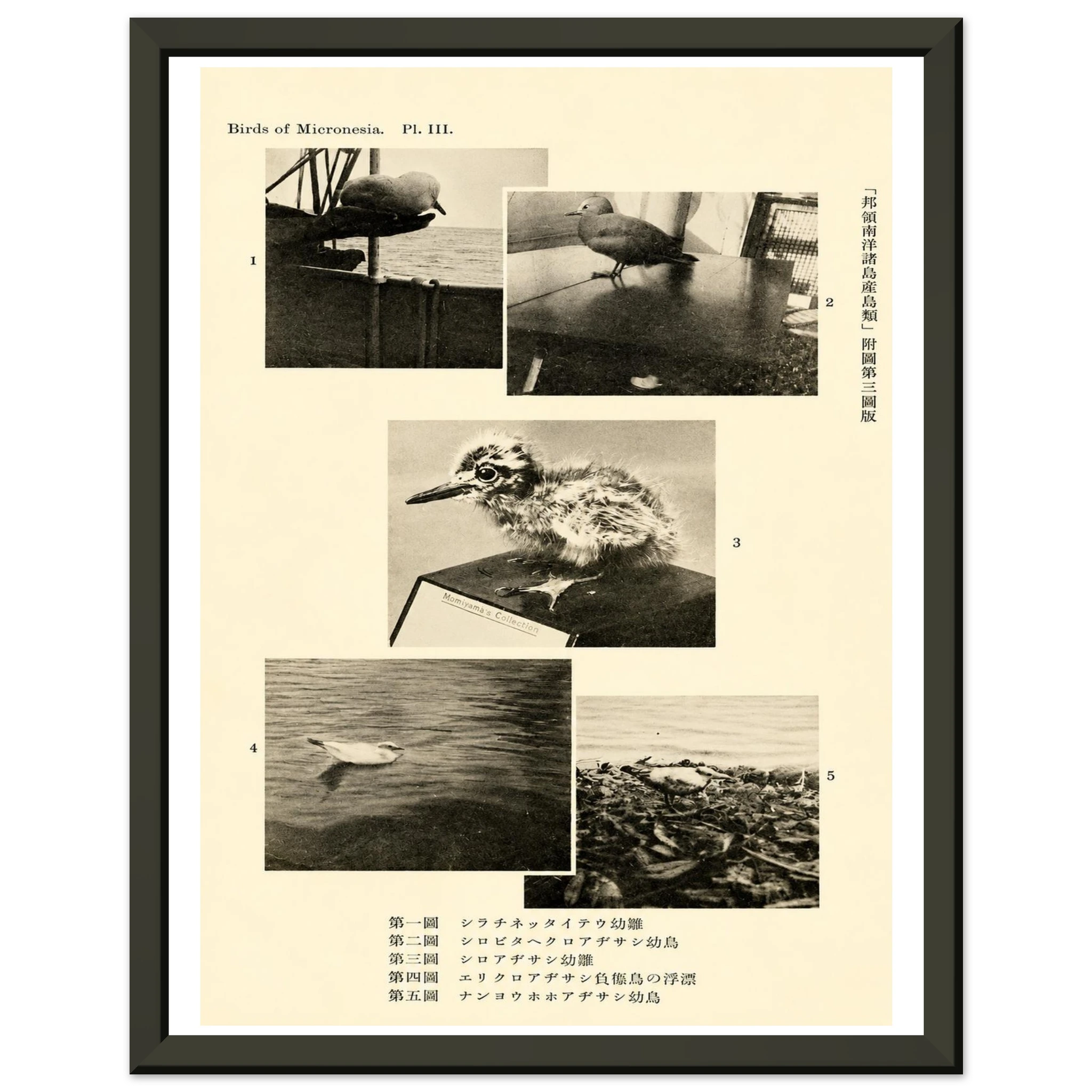 4f6095db-a6ce-48a5-ab35-3736f09a3d88