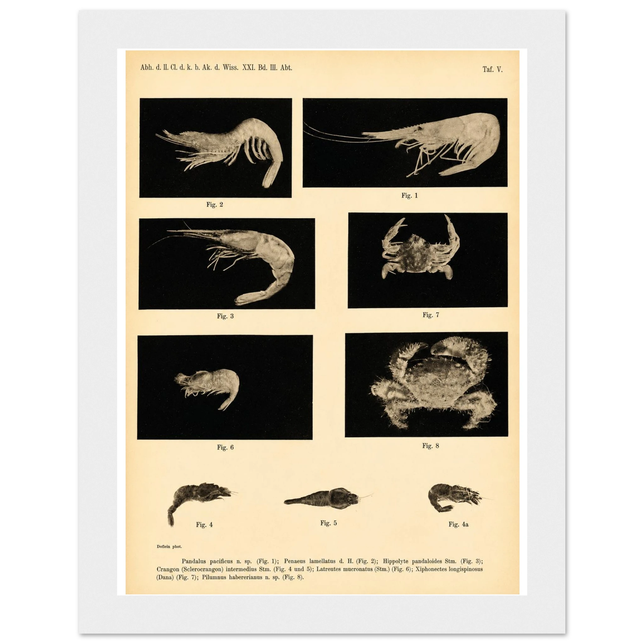 4fb1c03a-062a-4b3d-8553-e59be3c69a60