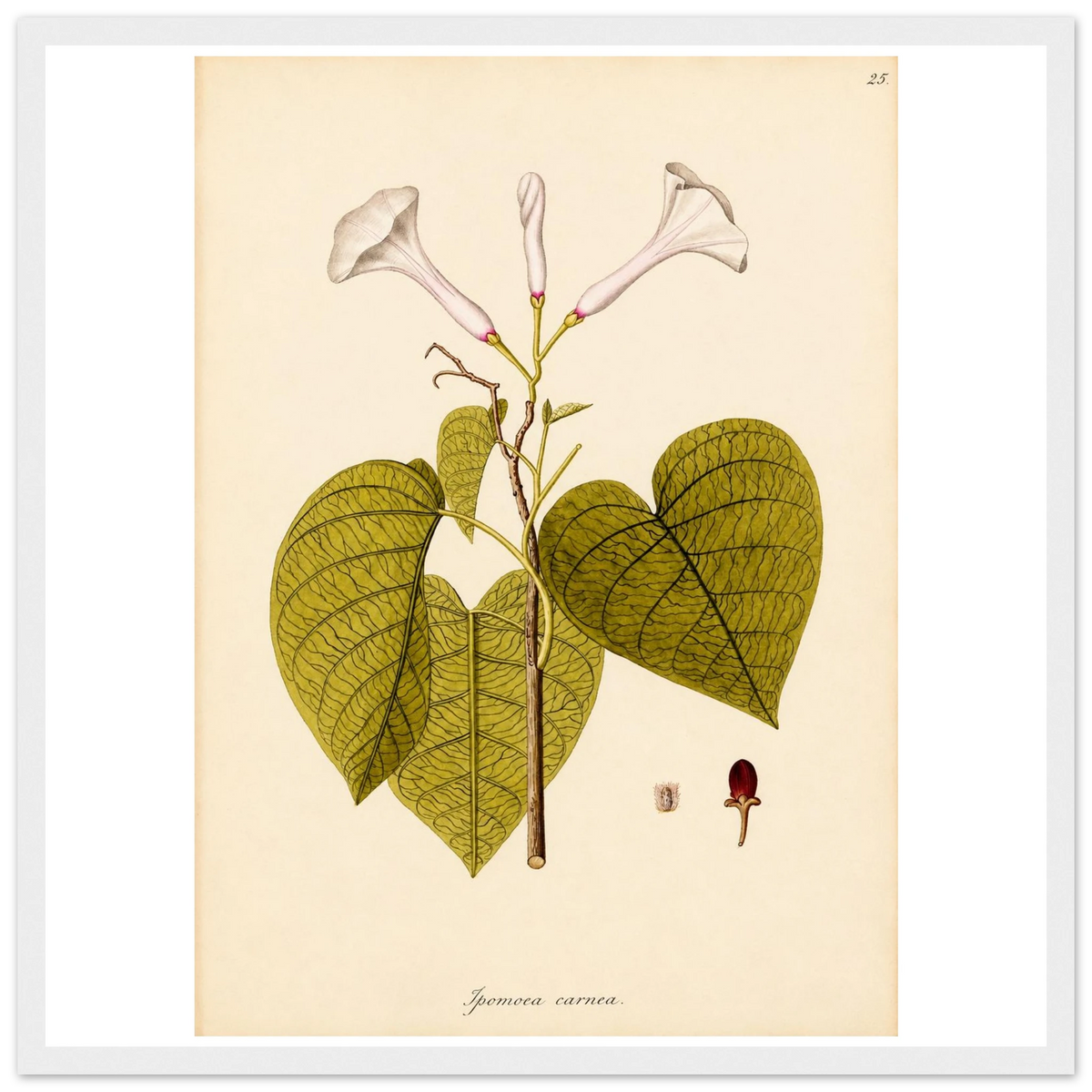 506a9bdc-0b3e-40d5-8af6-4fec97049439