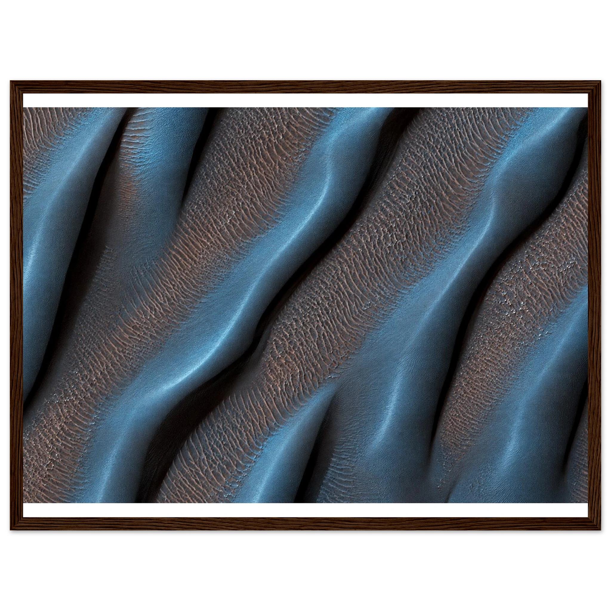 507ae2c2-ca49-493d-b7e4-a8911a2ecebf