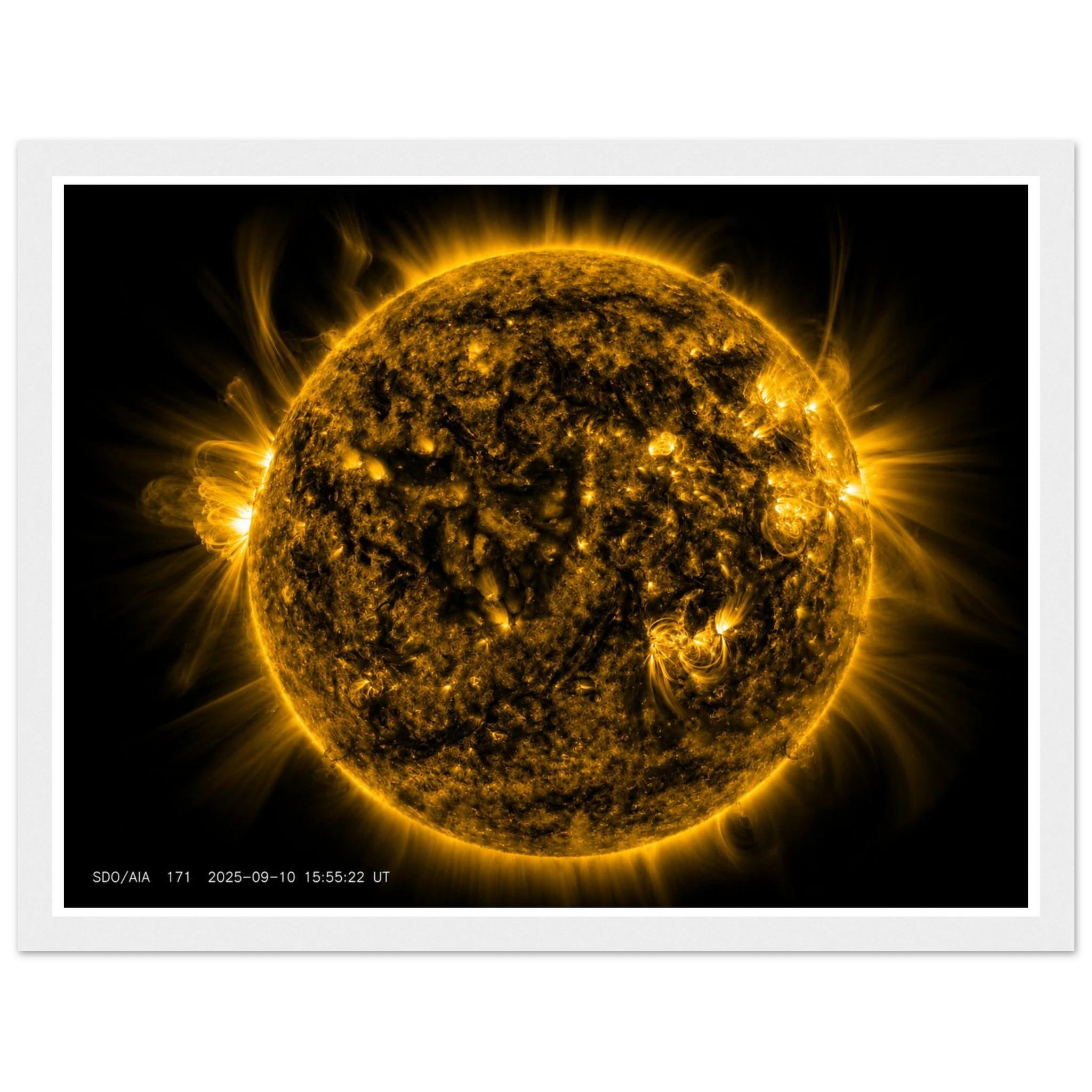 50918635-c62f-414c-8047-ce0b842b323d